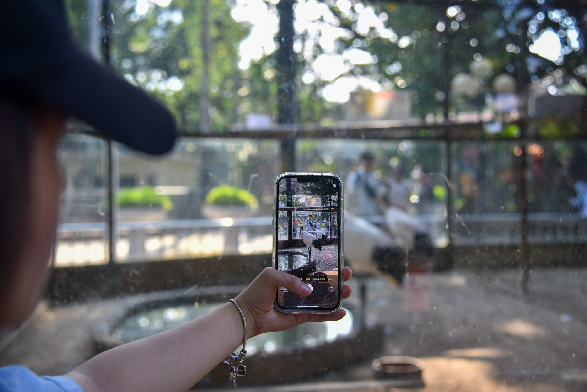 Chị Thu Quỳnh (Hoàng Mai, Hà Nội) chia sẻ: “Kỳ nghỉ lễ này tôi không lựa chọn đi du lịch mà ở lại thành phố để tận hưởng không khí ngày Quốc Khánh bằng việc đi tham quan các di tích lịch sử mang đậm dấu ấn Hà Nội. Điểm đến đầu tiên tôi chọn là công viên Thủ Lệ bởi vì không khí trong lành và chiêm ngưỡng những con động vật quý hiếm”.