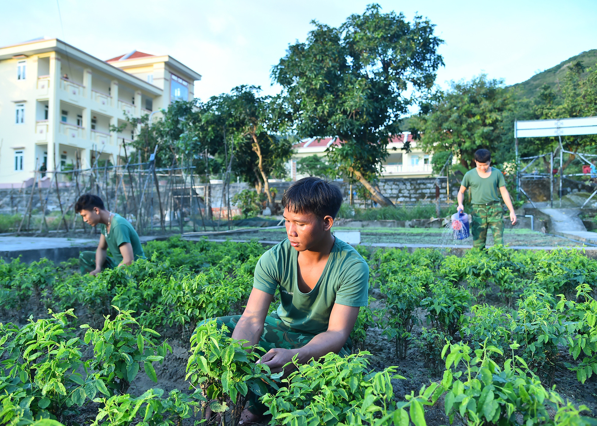 Do điều kiện thời tiết ở đảo Cù Lao Chàm mùa mưa kéo dài từ tháng 9 năm này đến tháng 3 năm sau, có những đợt mưa bão, biển động kéo dài, tàu, thuyền không thể ra vào đảo. Việc chuẩn bị sẵn sàng các nhu yếu phẩm cũng như tích cực tăng gia sản xuất tại chỗ giúp đơn vị không bị động về nguồn thực phẩm mà vẫn bảo đảm sức khỏe cho cán bộ, chiến sĩ. Có những người lính sau một năm sinh sống ở đồn, đã thông thạo hết mọi việc. Đó là những giờ tưới nước chăm chút từng luống rau, chăn gà, chăm sóc đàn lợn hay vào bếp trổ tài nấu nướng như bây giờ.