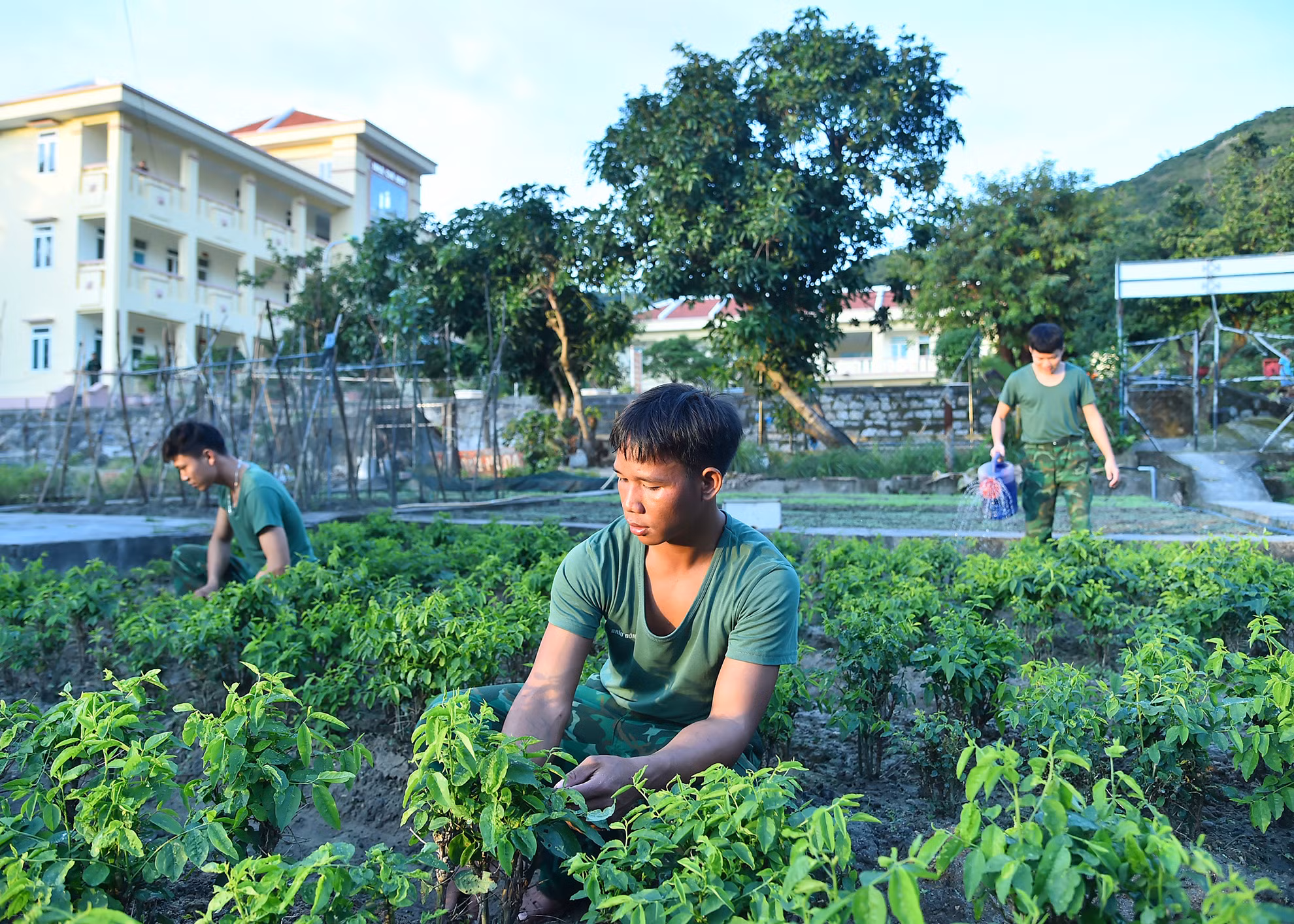 Do điều kiện thời tiết ở đảo Cù Lao Chàm mùa mưa kéo dài từ tháng 9 năm này đến tháng 3 năm sau, có những đợt mưa bão, biển động kéo dài, tàu, thuyền không thể ra vào đảo. Việc chuẩn bị sẵn sàng các nhu yếu phẩm cũng như tích cực tăng gia sản xuất tại chỗ giúp đơn vị không bị động về nguồn thực phẩm mà vẫn bảo đảm sức khỏe cho cán bộ, chiến sĩ. Có những người lính sau một năm sinh sống ở đồn, đã thông thạo hết mọi việc. Đó là những giờ tưới nước chăm chút từng luống rau, chăn gà, chăm sóc đàn lợn hay vào bếp trổ tài nấu nướng như bây giờ.