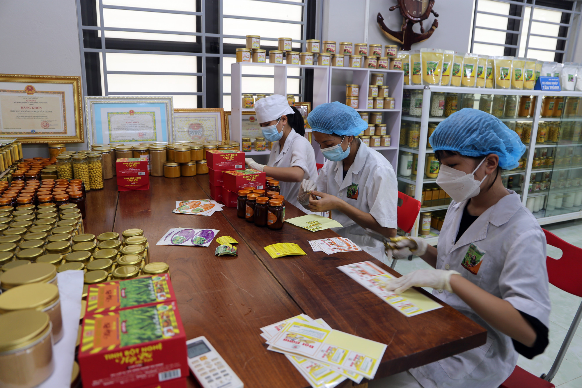 Đóng gói sản phẩm tinh bột nghệ tại Hợp tác xã nông nghiệp Tân Thành, thành phố Bắc Kạn. (Ảnh: HƯƠNG DỊU).