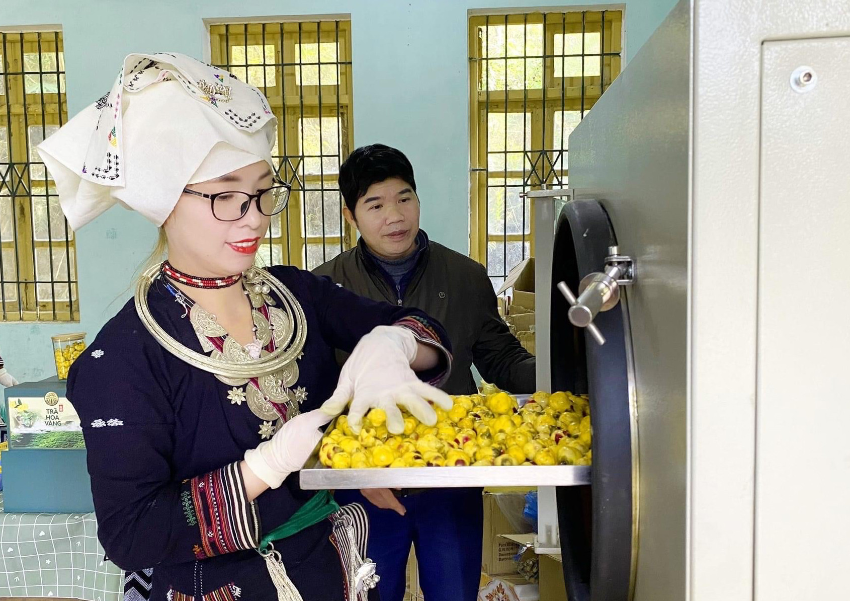 Chế biến trà hoa vàng tại Hợp tác xã nông nghiệp Nghĩa Tá, huyện Chợ Đồn. (Ảnh: TUẤN SƠN)