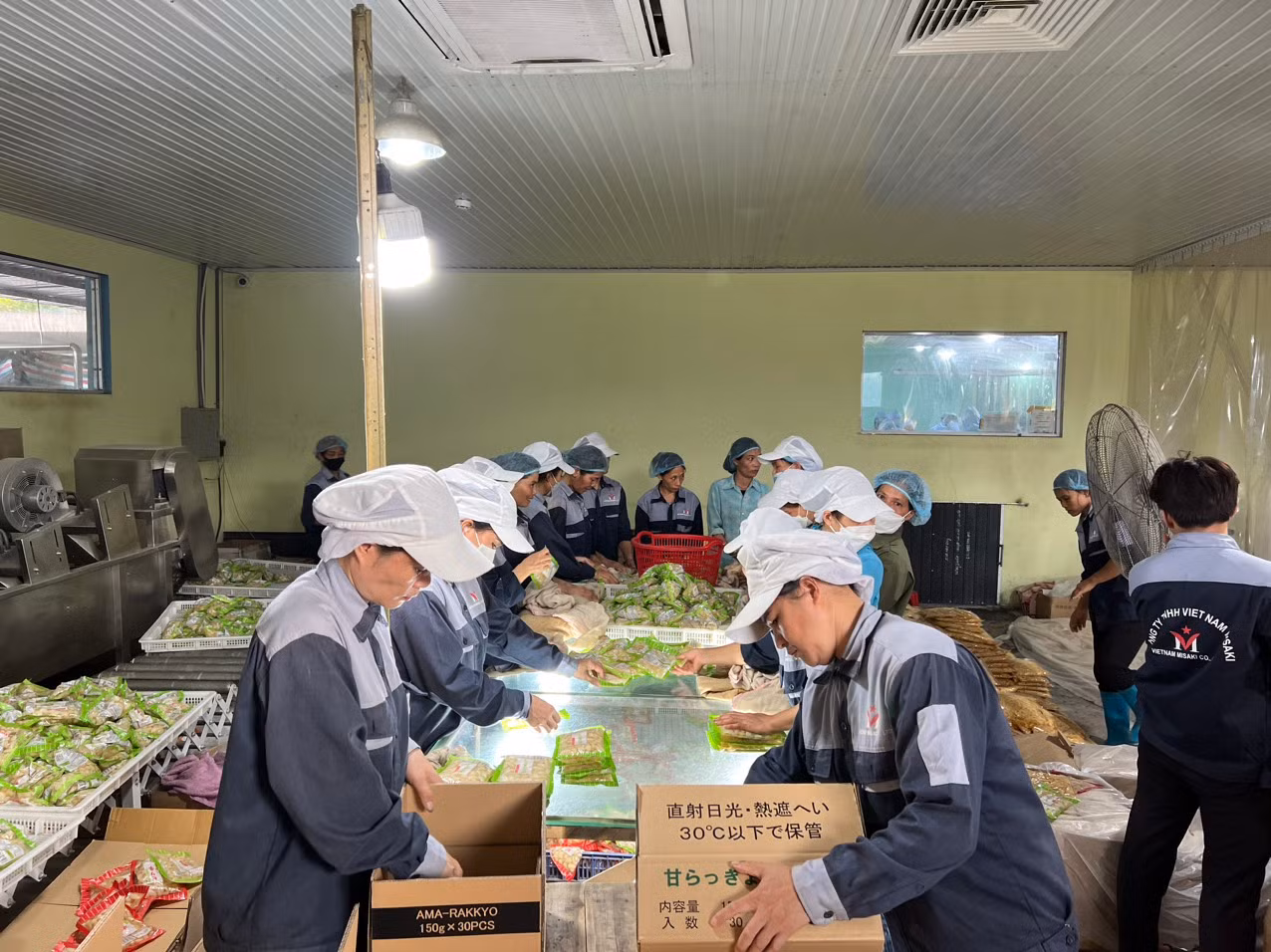 Chế biến nông sản tại Công ty trách nhiệm hữu hạn Việt Nam Misaki. (Ảnh: TUẤN SƠN)