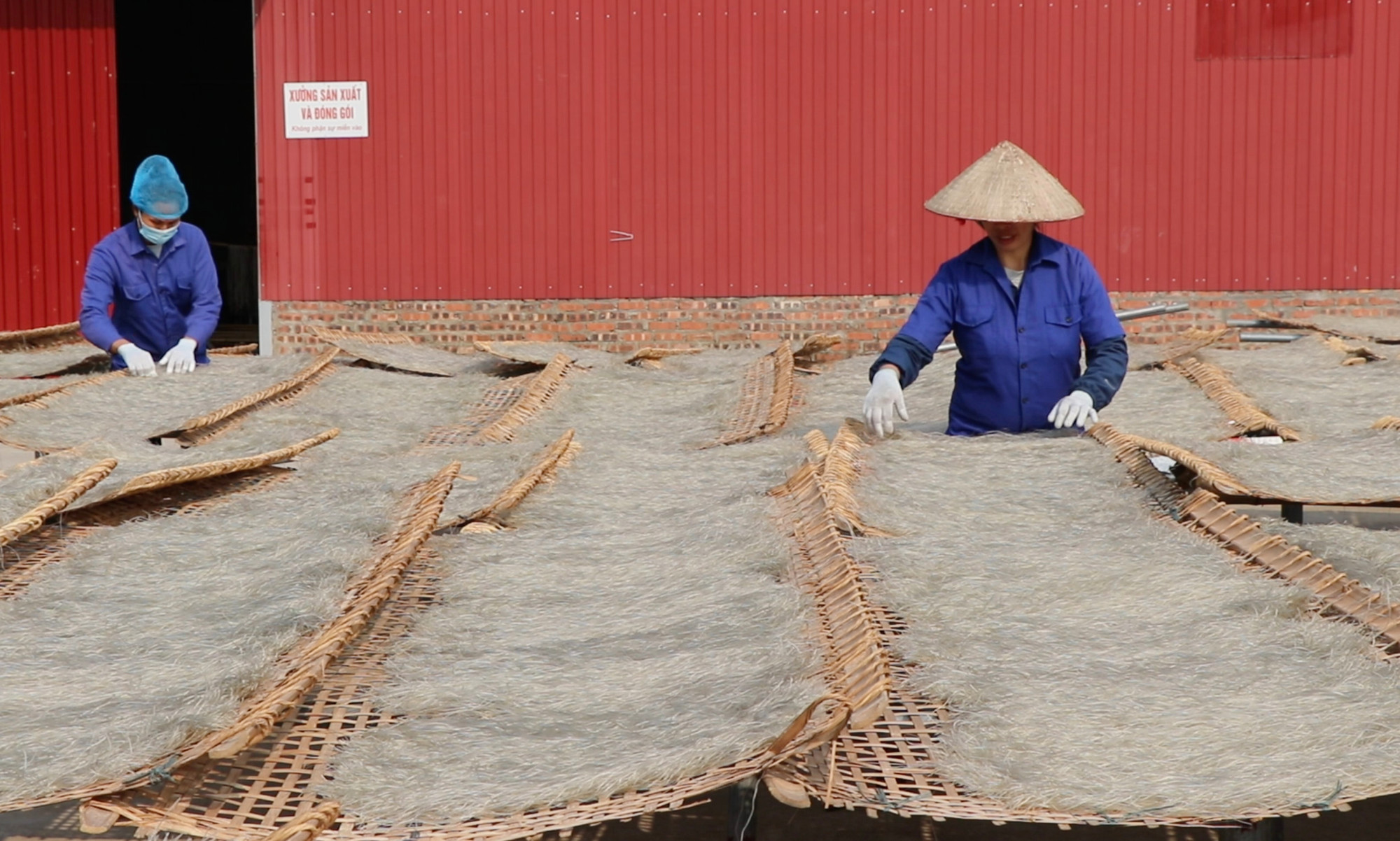 Các sản phẩm miến dong của các Hợp tác xã gắn với thế mạnh của từng địa phương. (Ảnh: TUẤN SƠN)