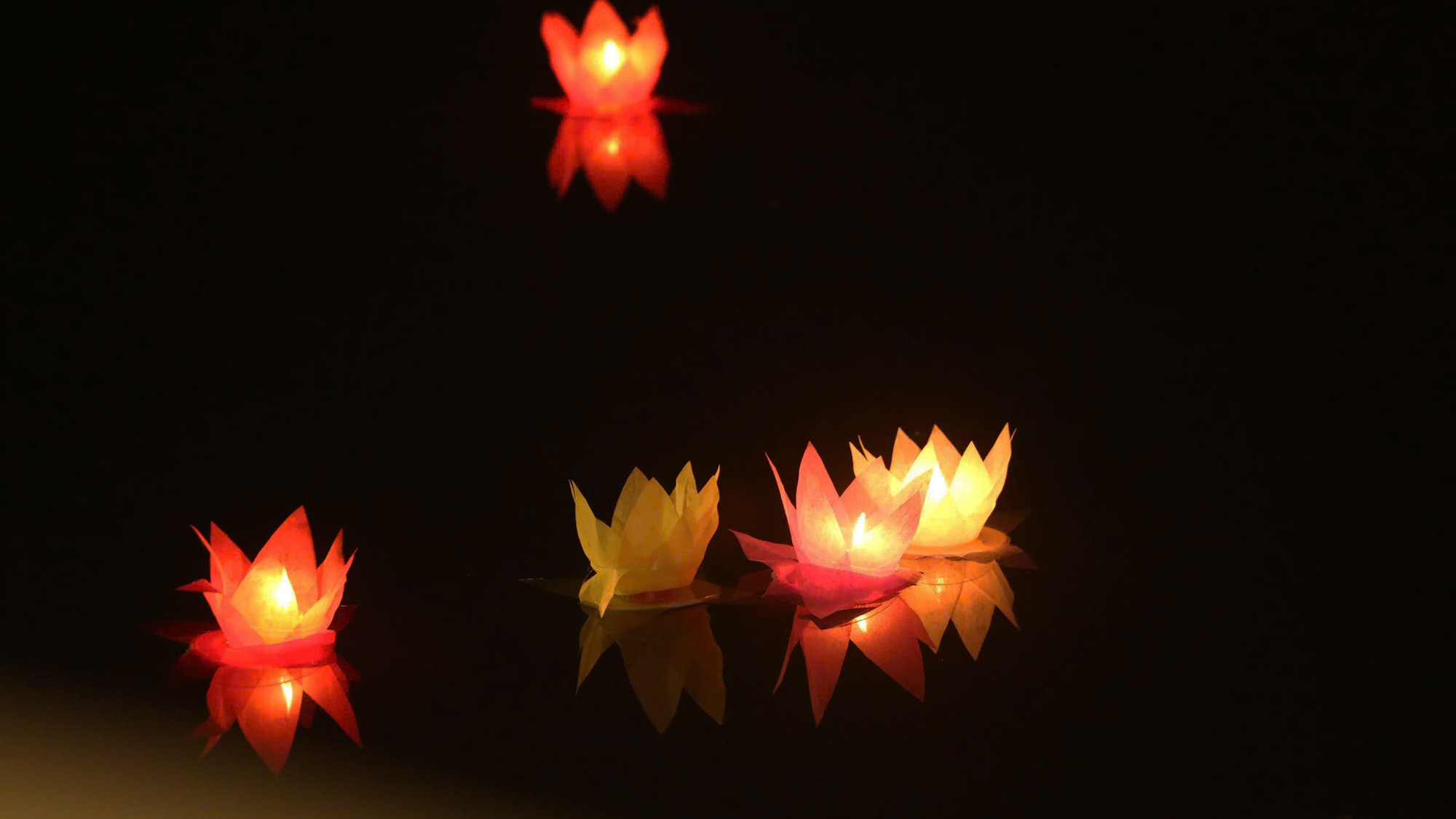 Hàng nghìn người cùng nhau cầu nguyện cho quốc thái dân an, cho nhân loại vượt qua những biến động và khổ đau.