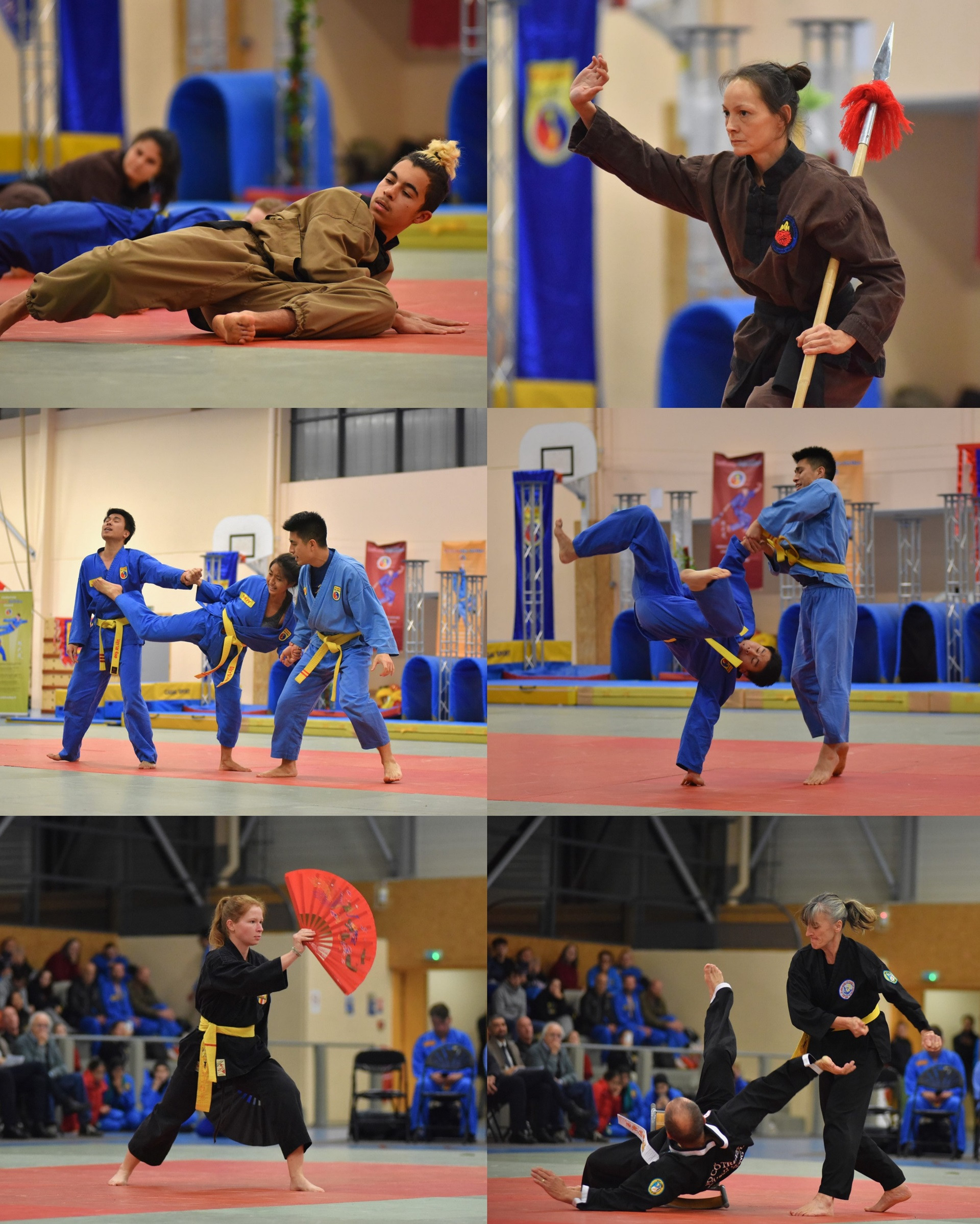 Theo võ sư Trần Nguyên Đạo, Chủ tịch Hội đồng Võ sư Vovinam - Việt Võ Đạo quốc tế, sự tham gia đông đảo của các môn phái thành viên khác nhau trong Liên đoàn Võ thuật cổ truyền Việt Nam tại Pháp là minh chứng cho sự quyết tâm và đồng lòng trong công tác quảng bá văn hóa dân gian Việt Nam ở nước sở tại.