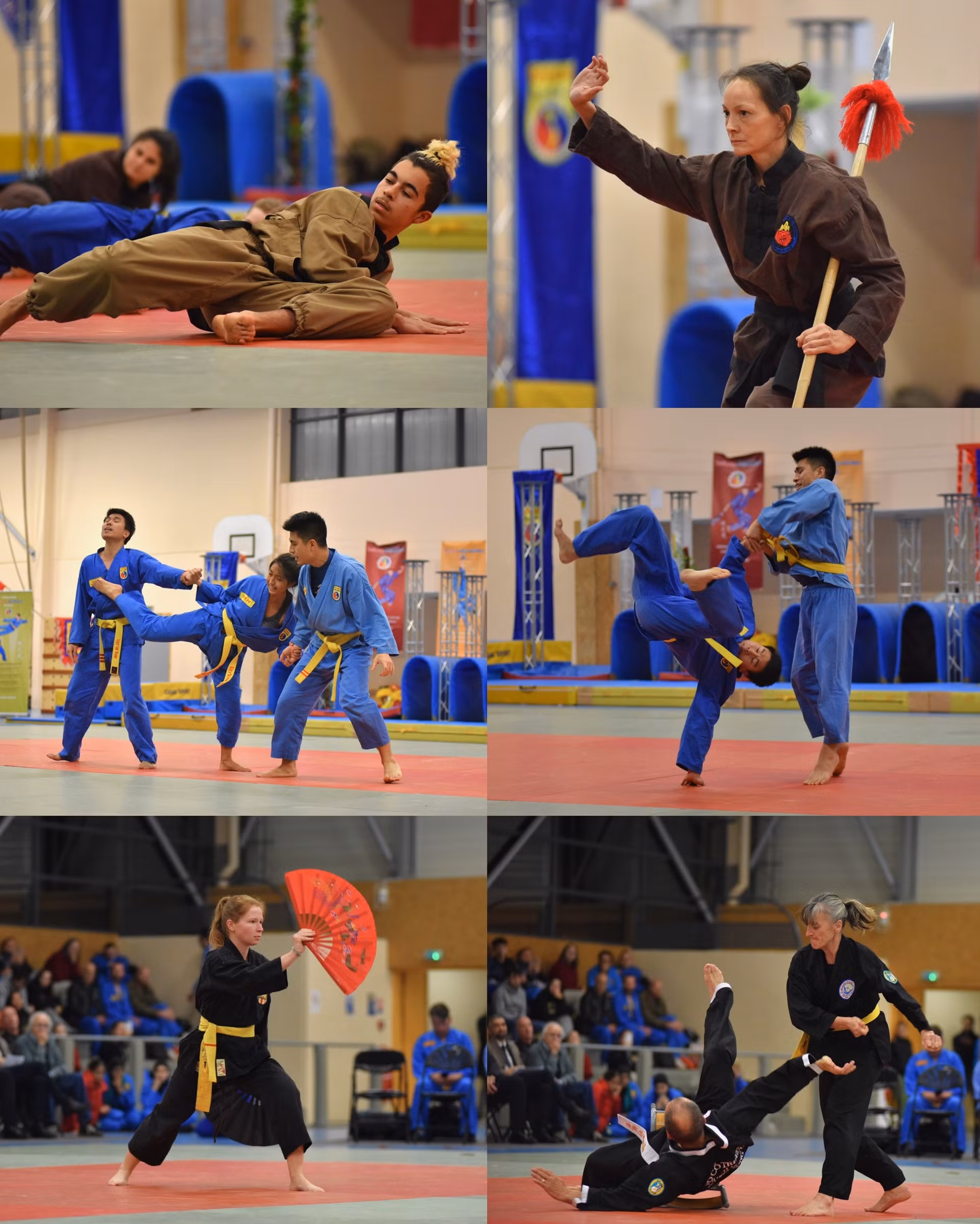 Theo võ sư Trần Nguyên Đạo, Chủ tịch Hội đồng Võ sư Vovinam - Việt Võ Đạo quốc tế, sự tham gia đông đảo của các môn phái thành viên khác nhau trong Liên đoàn Võ thuật cổ truyền Việt Nam tại Pháp là minh chứng cho sự quyết tâm và đồng lòng trong công tác quảng bá văn hóa dân gian Việt Nam ở nước sở tại.