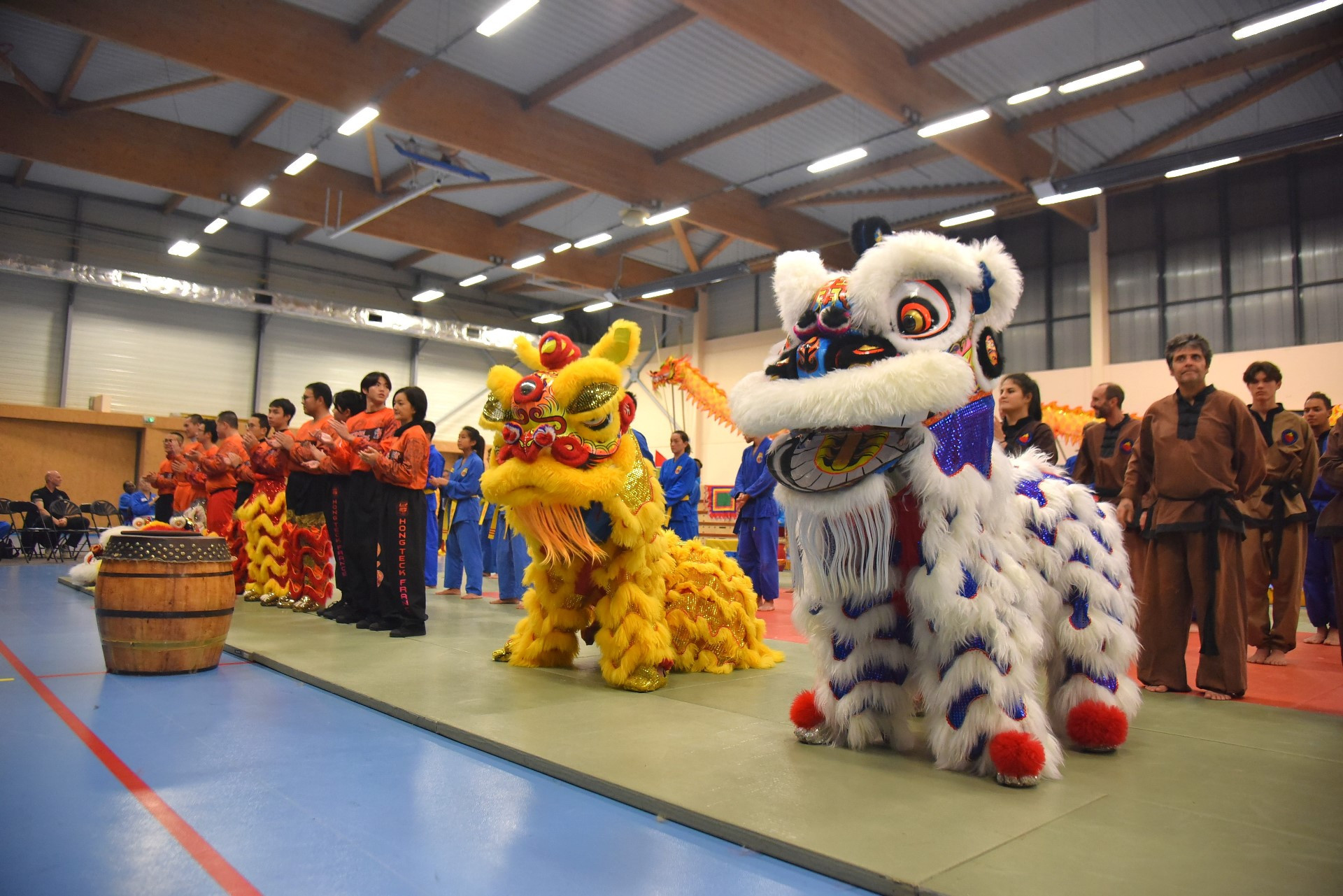 Trong tâm thức của người châu Á nói chung và người dân Việt Nam nói riêng, lân - sư - rồng là một loại hình biểu diễn trong các dịp lễ Tết Nguyên đán, lễ hội, ngày khai trương, các hoạt động khánh tiết chào mừng, mang ý nghĩa tâm linh to lớn như một linh vật mang tới nhiều điều may mắn, mọi sự hanh thông và hồng phát.