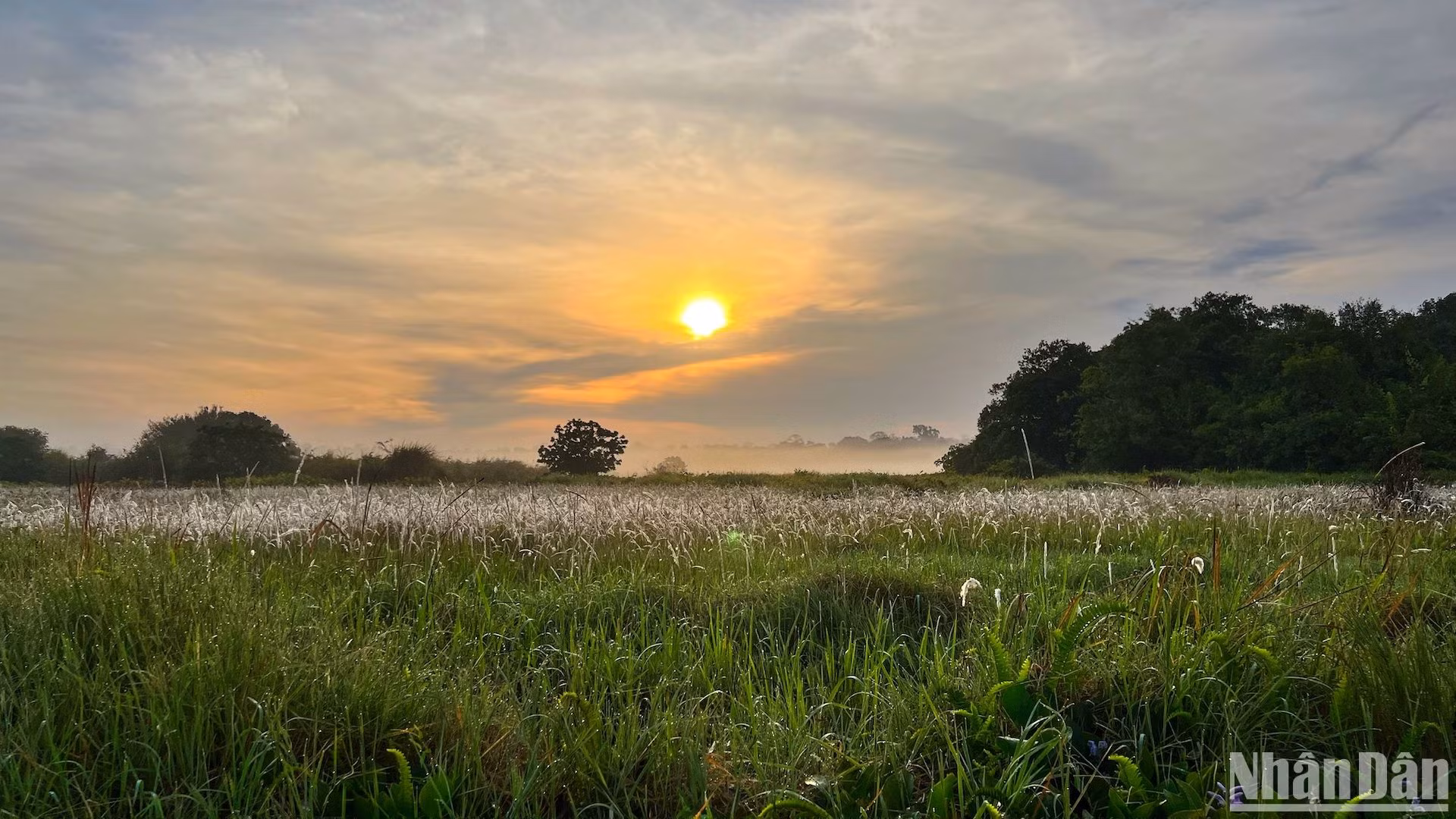 Bình minh Bàu Sấu tràn trề sức sống với những sắc màu và âm thanh của muôn loài chào ngày mới.