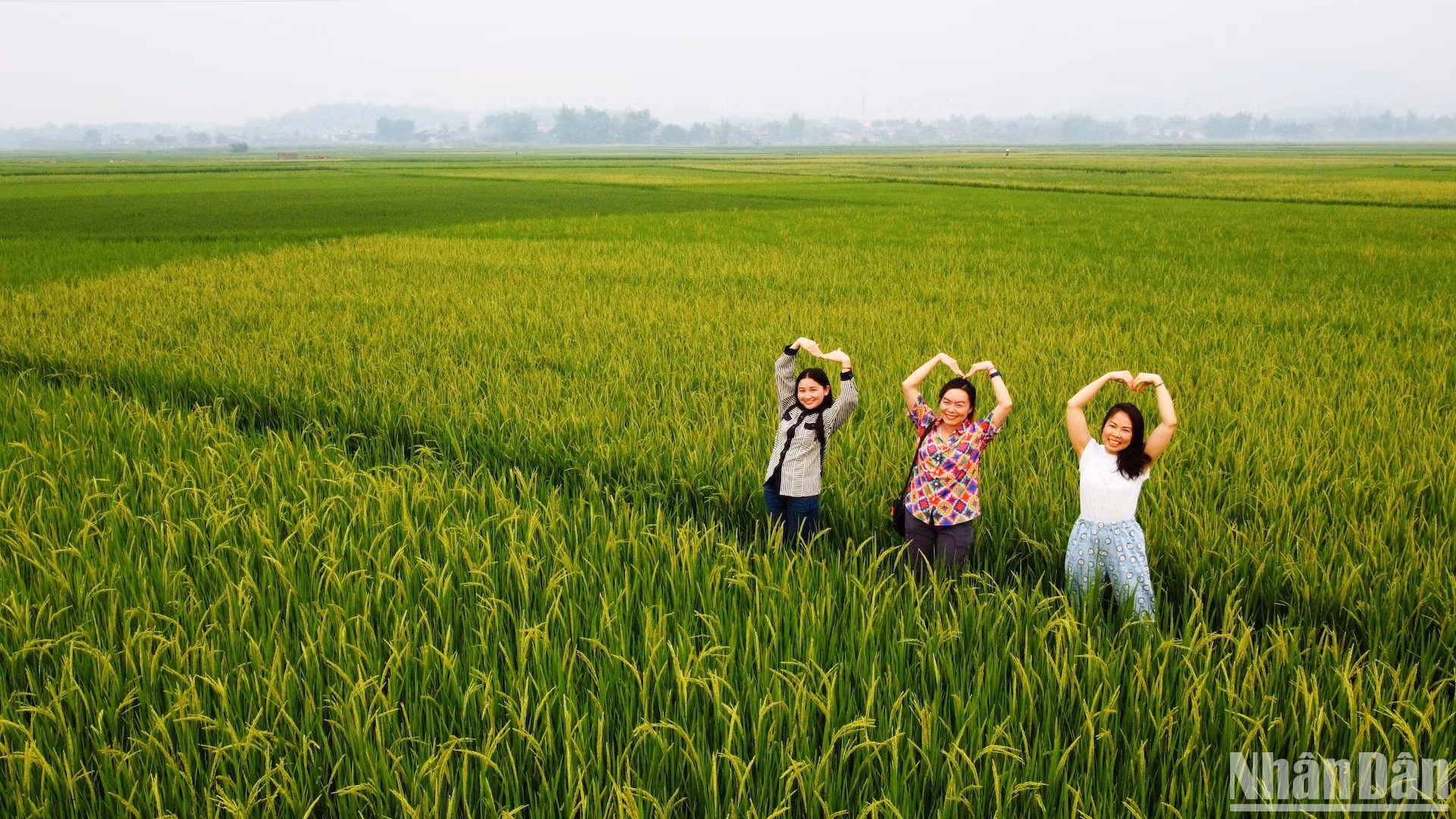 Trải nghiệm Điện Biên lịch sử, khám phá thiên nhiên và văn hóa Tây Bắc ảnh 10