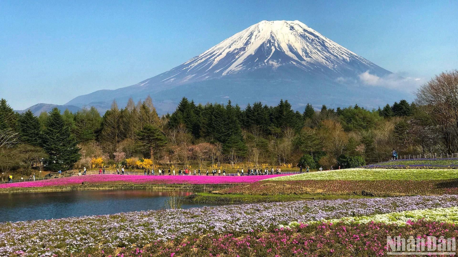 Những vạt hoa duyên dáng, phong cảnh sơn thuỷ hữu tình níu chân du khách.