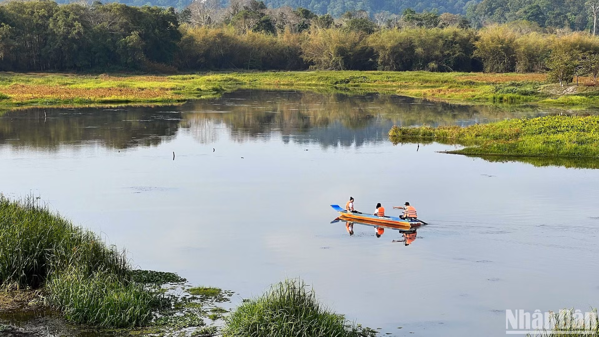 Khi mặt trời lên cao sáng rõ, theo hướng các anh kiểm lâm chỉ, du khách dễ dàng quan sát bầy cá sấu hai bên bờ và ngay dưới làn nước.