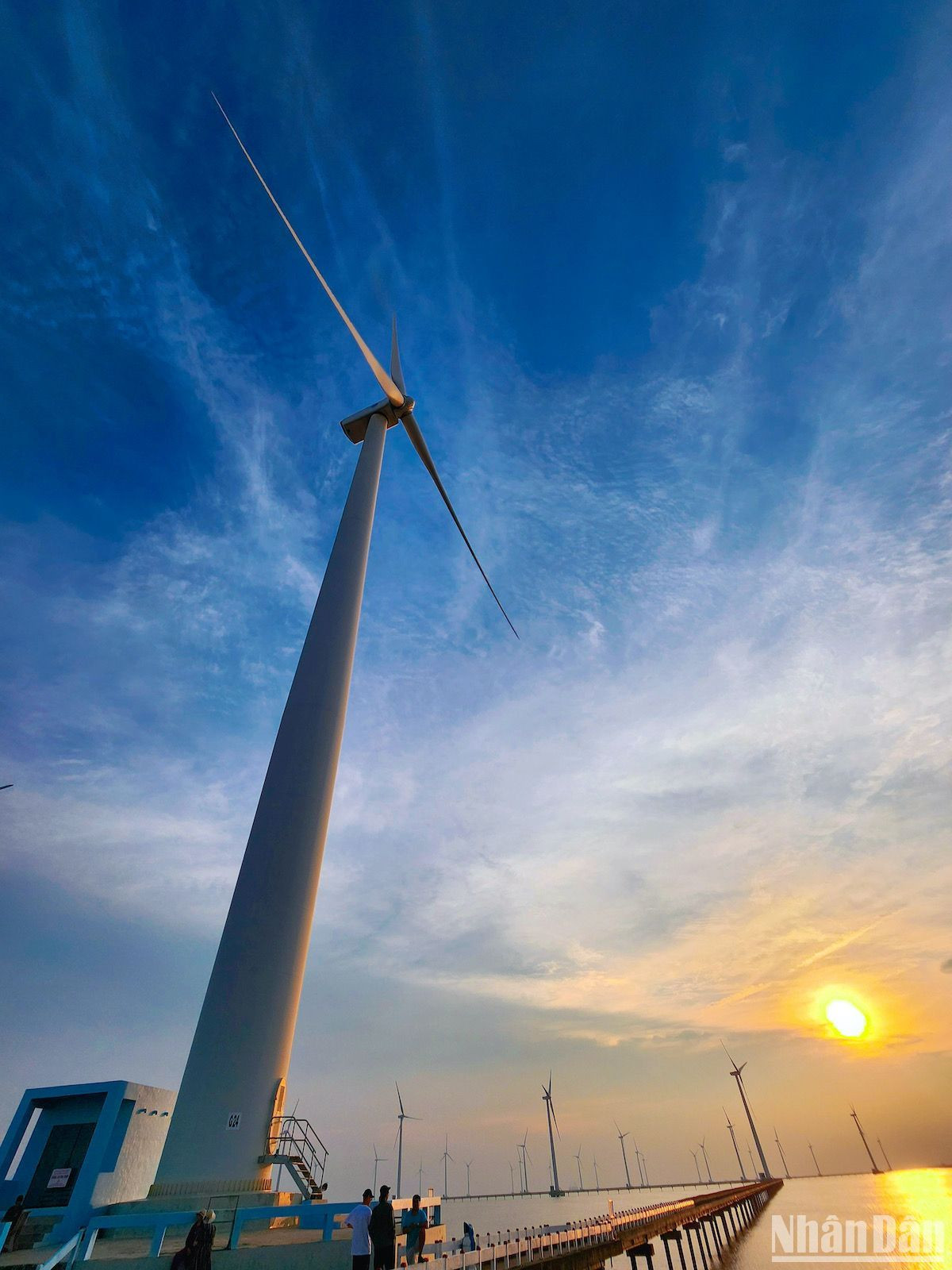 Mỗi tua-bin điện gió cao tới 80 mét, cánh quạt dài 42 mét, được thiết kế và chế tạo từ những vật liệu đặc biệt để chống chọi nắng, mưa, bão... Có tổng cộng 62 tua-bin đang hoạt động tại Nhà máy điện gió Bạc Liêu.