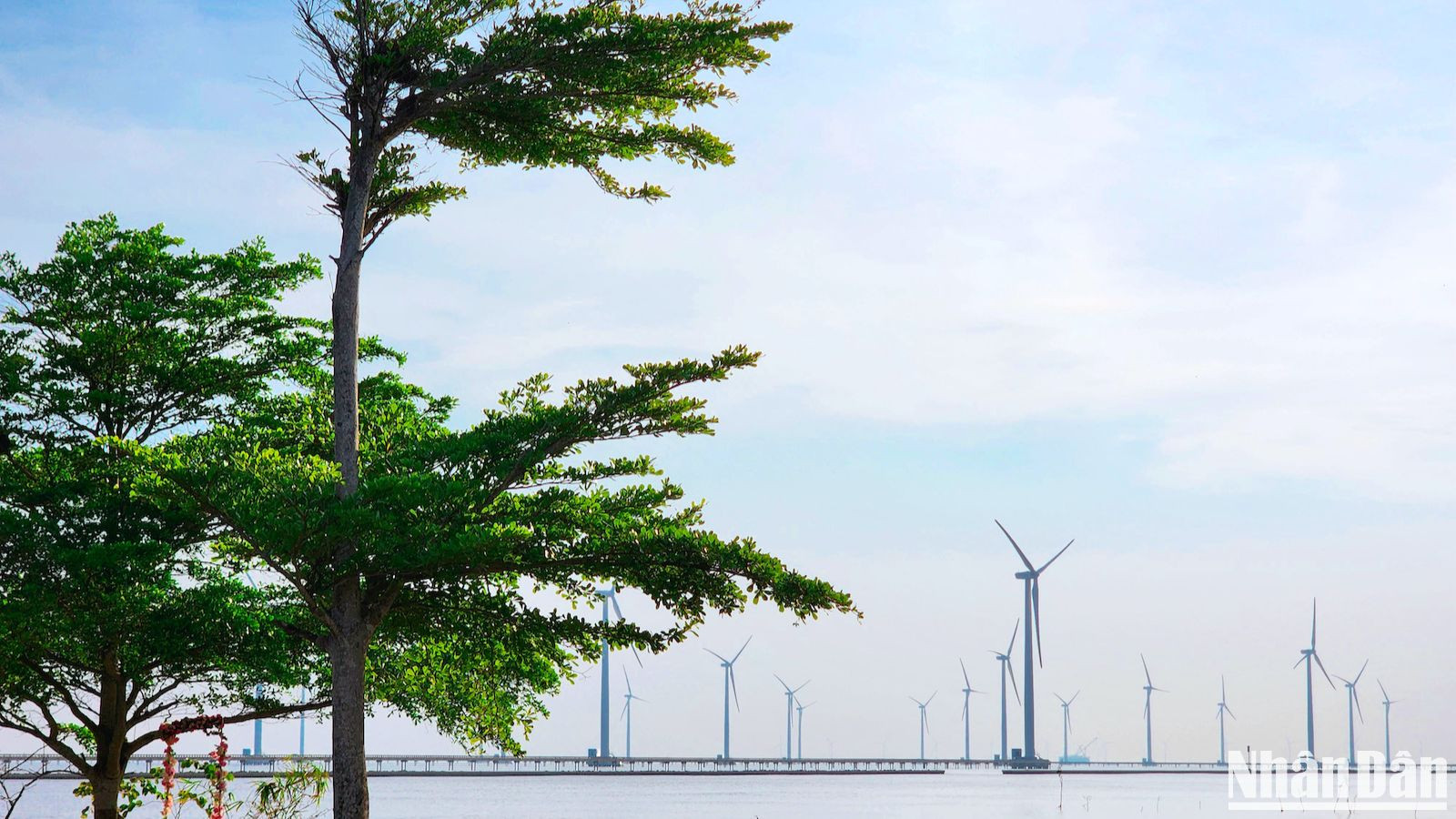 Từ khoảng cách rất xa đã có thể nhìn thấy loạt cột trụ tua-bin điện gió sừng sững trên mặt biển.