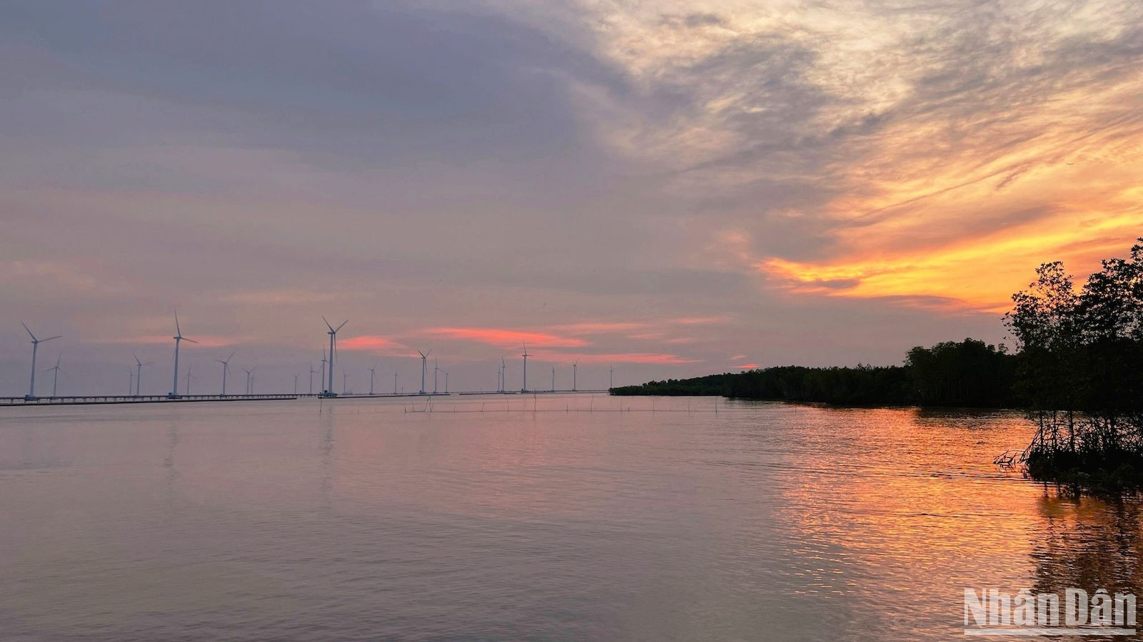 Cánh đồng điện gió Bạc Liêu được bao quanh bởi đại dương bao la và những vạt rừng phòng hộ xanh um, với hệ sinh thái đặc trưng vùng ngập mặn như các cây đước, bần, mắm, các loài chim, cua, cá...