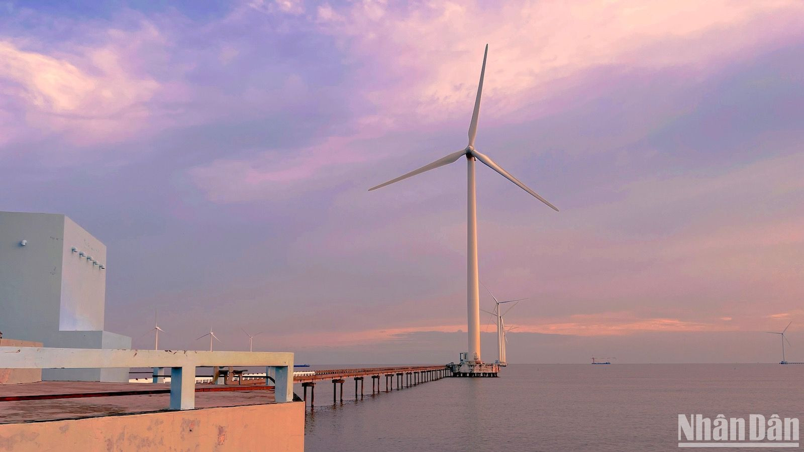 Những tua-bin khổng lồ xoay tròn giữa buổi hoàng hôn lộng lẫy, tạo nên khung cảnh vừa nên thơ, lãng mạn, vừa hiện đại và năng động. Có người ví von chúng như chong chóng, có người thấy giống những cánh hoa...