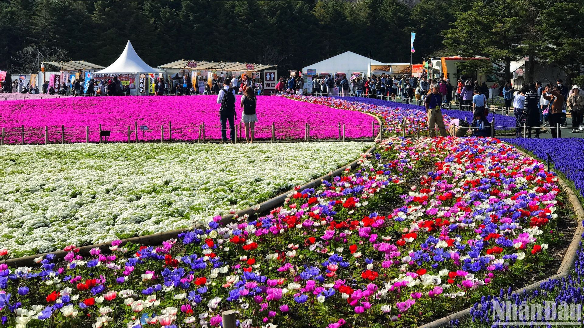 Thưởng thức món ăn ngon giữa khung cảnh thiên nhiên tươi đẹp là một trải nghiệm đầy cảm xúc và đáng nhớ.