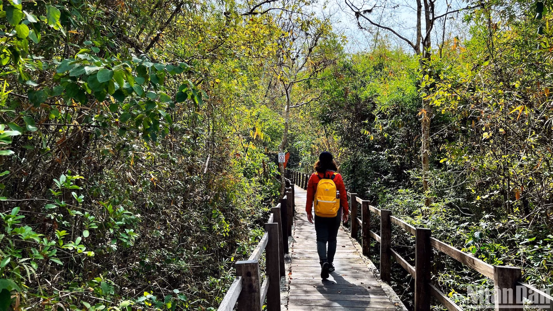 Có thể đến Bàu Sấu vào mọi thời điểm trong ngày với khoảng 14km di chuyển từ cửa rừng Vườn quốc gia Cát Tiên, trong đó có 9km đi xe đạp hoặc ô-tô, 5km đi bộ xuyên rừng.