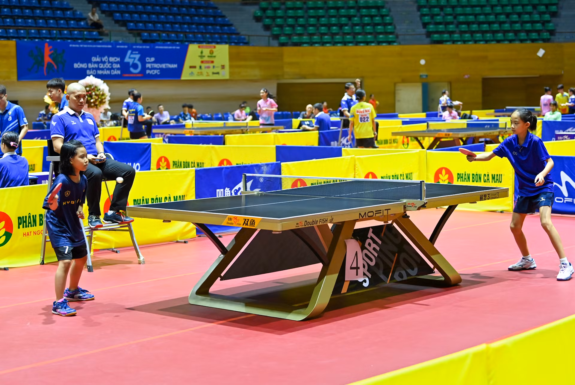 Những tay vợt nhí như Lê Bảo Anh, Hoàng Việt Tùng hay Lâm Trần Huyền My không chỉ mang đến sắc màu tươi mới cho Giải vô địch bóng bàn quốc gia, mà còn là minh chứng sống động cho hành trình nuôi dưỡng đam mê và bản lĩnh thi đấu từ rất sớm. Cùng với những gương mặt trẻ như Nguyễn Hoàng Lâm hay Nguyễn Duy Phong, họ đang đặt những bước đầu vững vàng trên hành trình khẳng định mình, góp phần xây dựng tương lai cho bóng bàn Việt Nam.