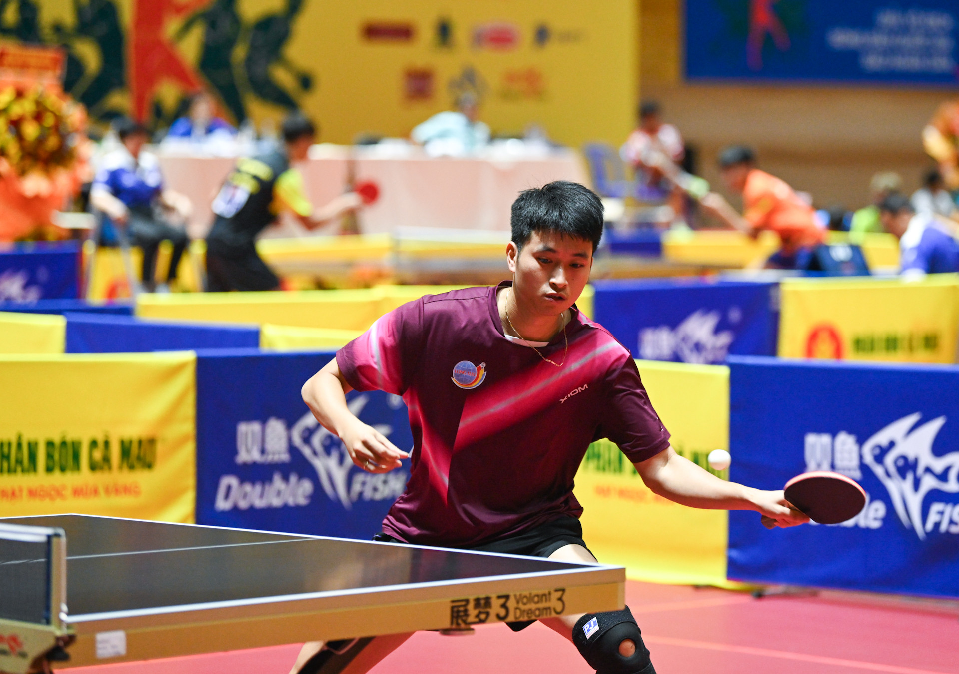 Đoàn Bá Tuấn Anh (sinh năm 1995) sở hữu lối đánh thuận tay trái, Tuấn Anh nổi bật nhờ khả năng điều bóng linh hoạt, phản công sắc bén và sự kiên trì trong từng pha bóng. Anh là nhân tố không thể thiếu của đoàn Hải Dương và từng được kết nạp Đảng vào năm 2024 nhờ thành tích và phẩm chất đạo đức tốt.