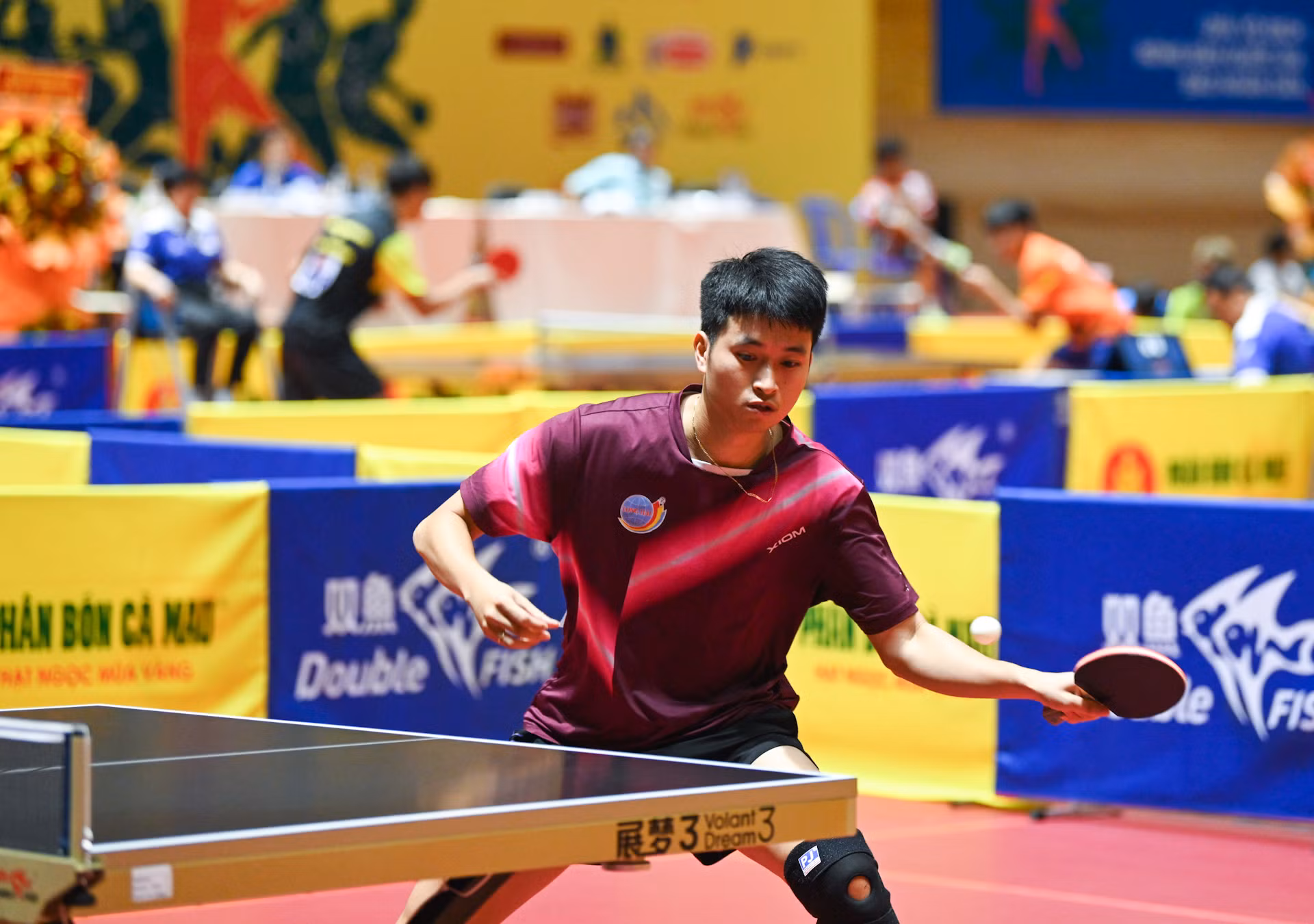 Đoàn Bá Tuấn Anh (sinh năm 1995) sở hữu lối đánh thuận tay trái, Tuấn Anh nổi bật nhờ khả năng điều bóng linh hoạt, phản công sắc bén và sự kiên trì trong từng pha bóng. Anh là nhân tố không thể thiếu của đoàn Hải Dương và từng được kết nạp Đảng vào năm 2024 nhờ thành tích và phẩm chất đạo đức tốt.