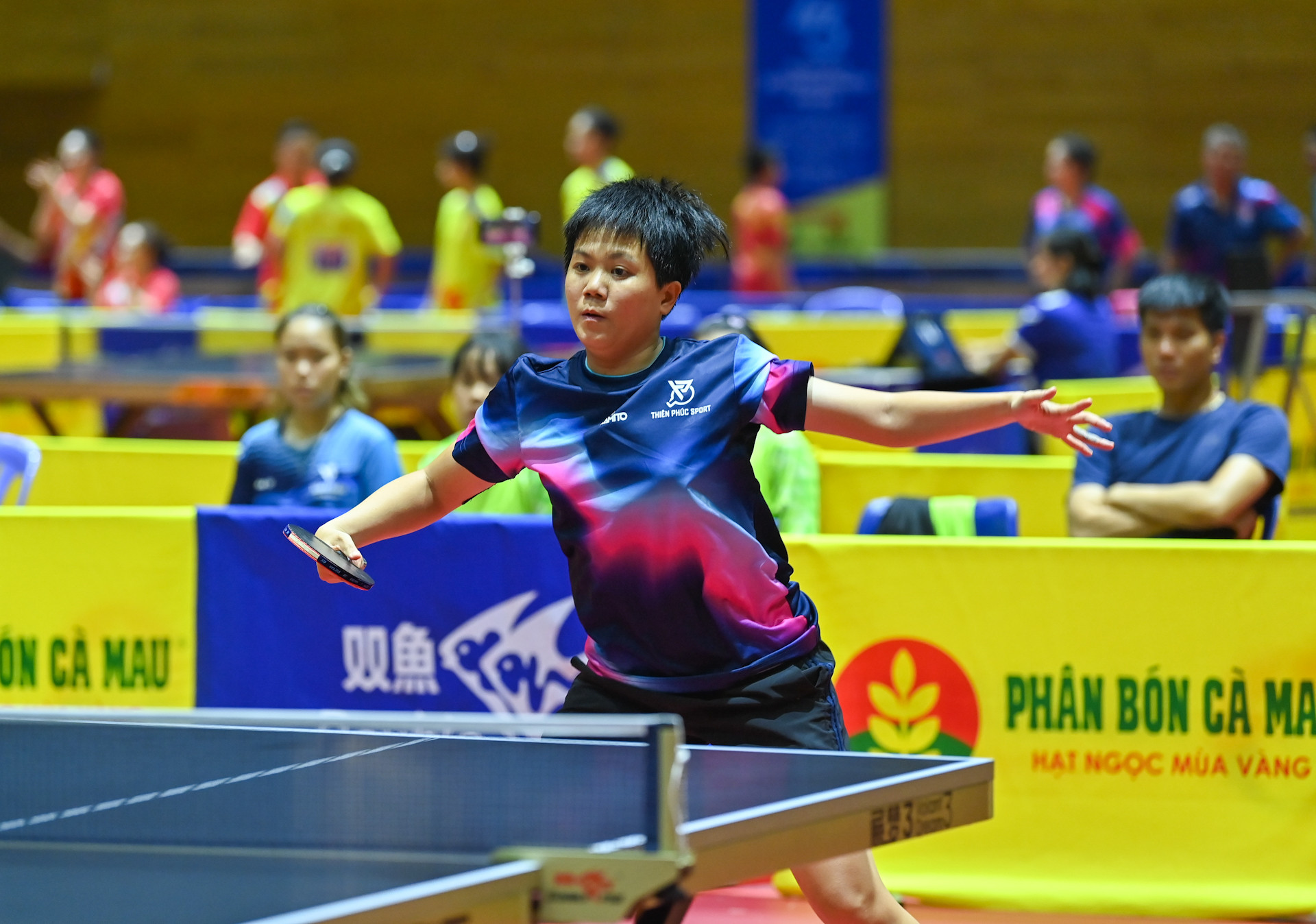 Tay vợt Phan Hoàng Tường Giang (sinh năm 1989 tại Bình Định, hiện đang thi đấu cho đoàn Đà Nẵng) là một trong những vận động viên bóng bàn nữ kỳ cựu và giàu thành tích của Việt Nam.