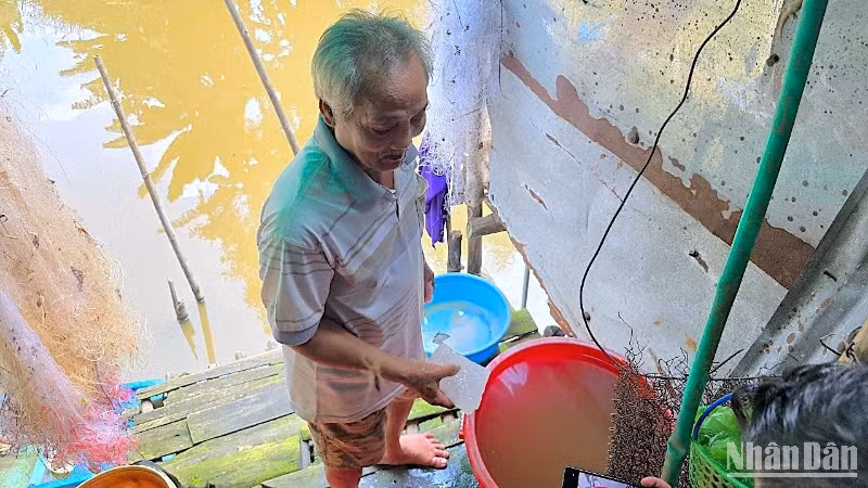 Nước múc lên từ ao, đìa được người dân ấp 12 (xã Khánh Thuận) xử lý lại bằng cục phèn chua (cầm trên tay).