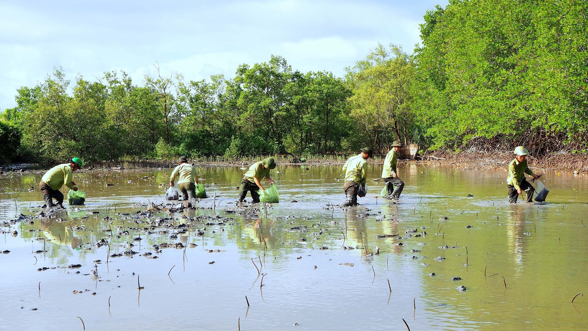 Lực lượng kiểm lâm tỉnh Cà Mau tham gia trồng rừng ngập mặn khu vực ven biển.