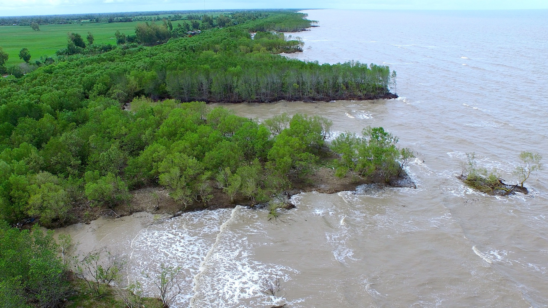 Một khu vực rừng phòng hộ ven bờ biển Tây tỉnh Cà Mau bị sóng dữ tàn phá khi chưa thực hiện dự án công trình kè bảo vệ bờ biển.