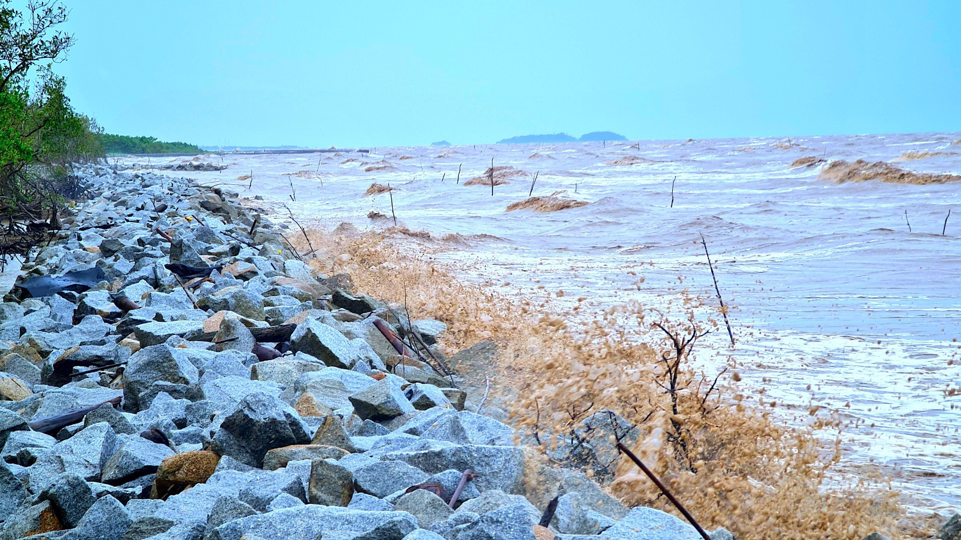 Sóng dữ uy hiếp bờ biển Tây tỉnh Cà Mau tại một vị trí đã có công trình bảo vệ sát mé rừng.