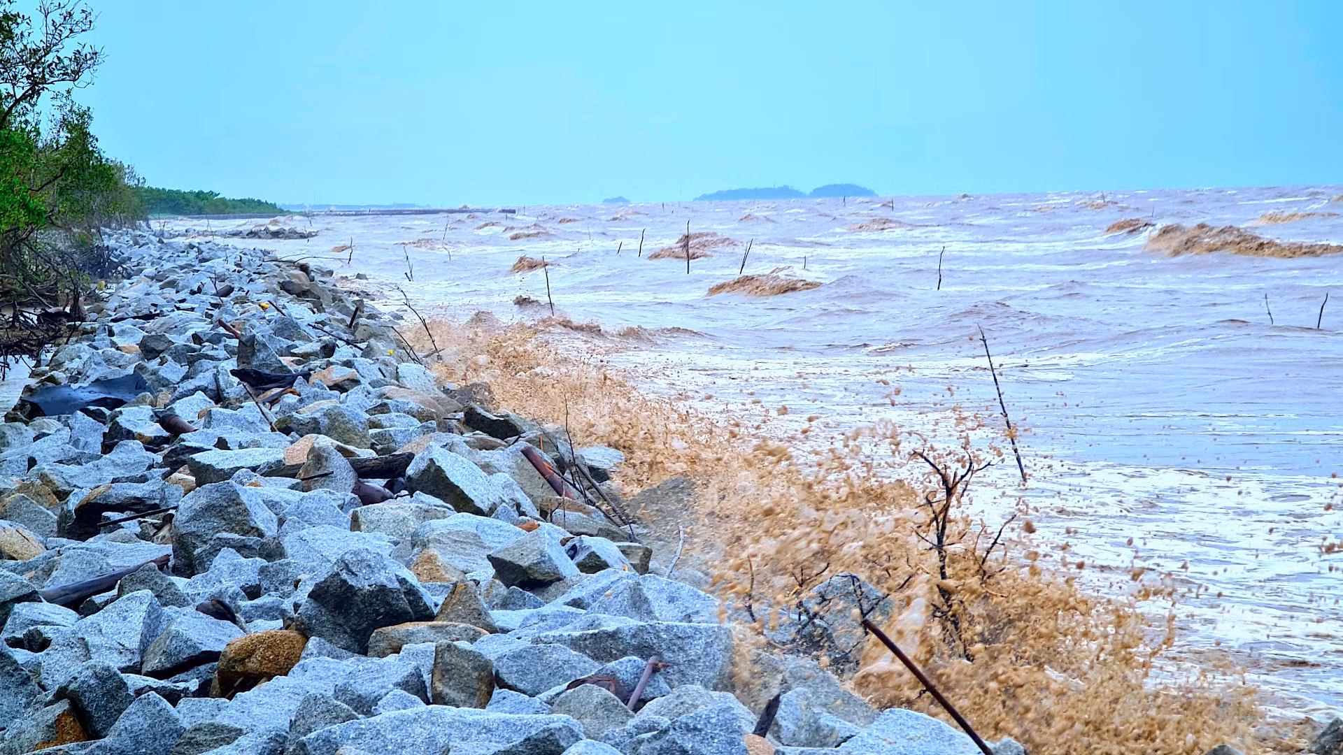 Sóng dữ uy hiếp bờ biển Tây tỉnh Cà Mau tại một vị trí đã có công trình bảo vệ sát mé rừng.