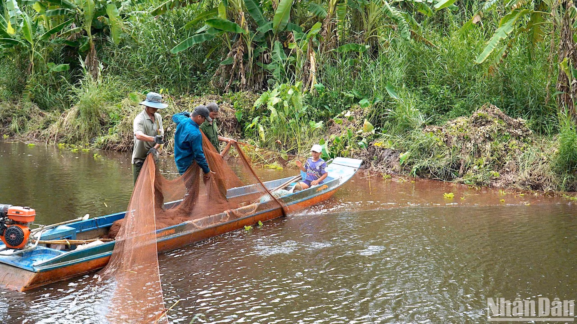 Tái hiện hoạt động chụp đìa bắt cá đồng tại Vườn Quốc gia U Minh hạ.