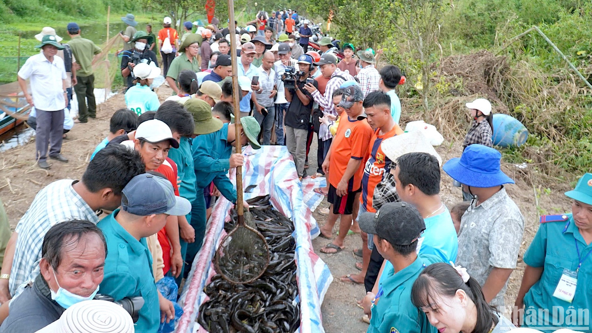 Đông đảo khách thập phương tham gia trải nghiệm hoạt động bắt cá đồng tại Vườn Quốc gia U Minh Hạ.
