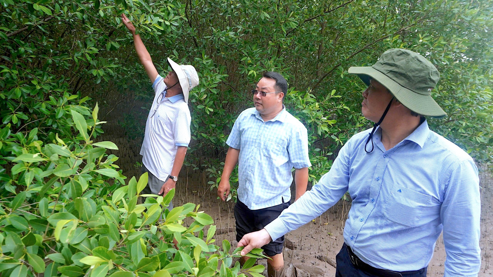 Lãnh đạo Ban quản lý dự án công trình Nông nghiệp và Phát triển nông thôn tỉnh Cà Mau kiểm tra khu vực trồng và phục hồi rừng tại Bãi Bồi ven biển xã Đất Mũi.