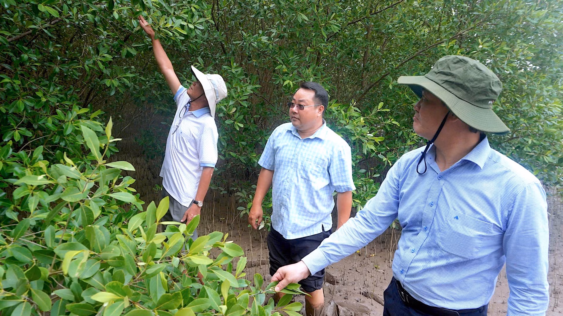 Lãnh đạo Ban quản lý dự án công trình Nông nghiệp và Phát triển nông thôn tỉnh Cà Mau kiểm tra khu vực trồng và phục hồi rừng tại Bãi Bồi ven biển xã Đất Mũi.