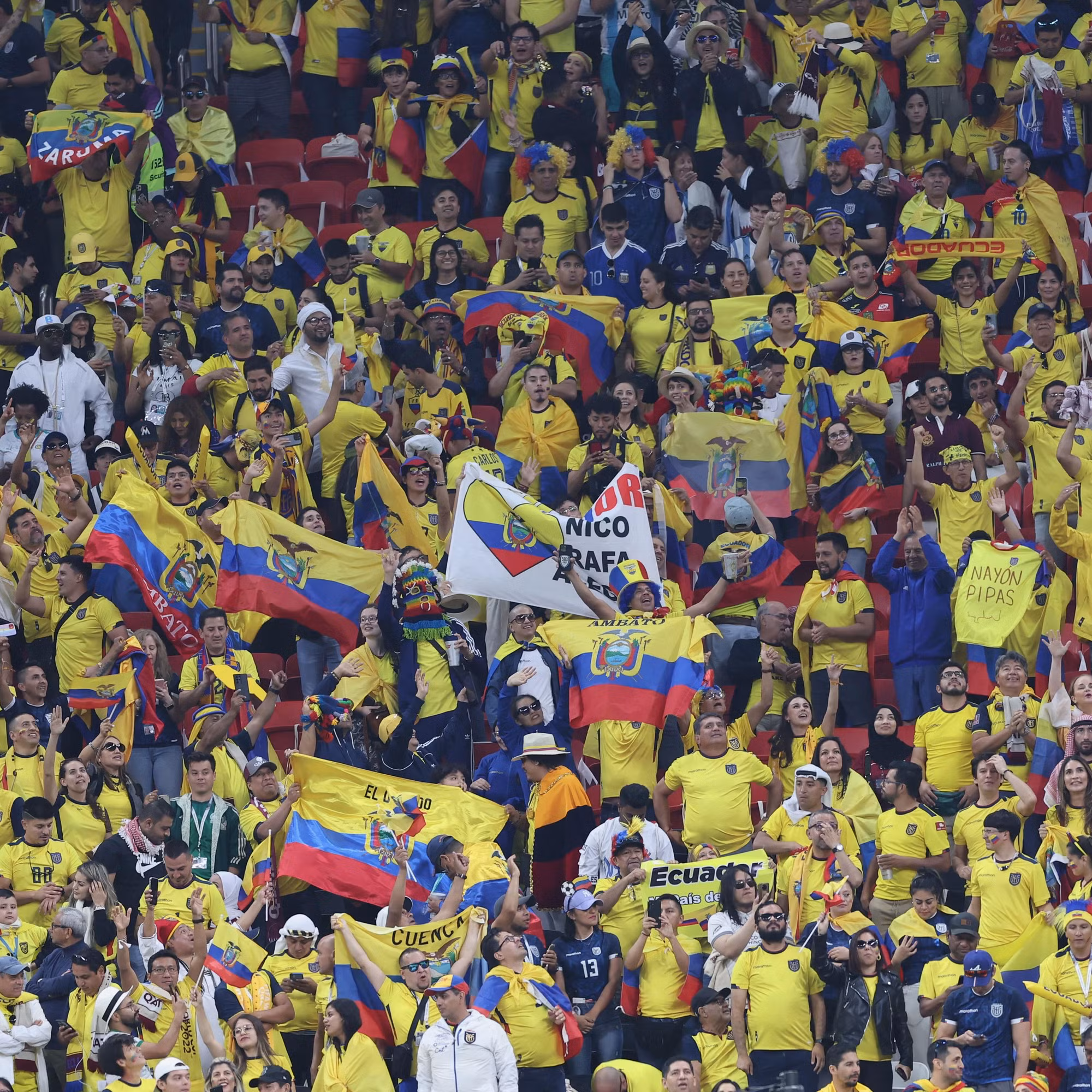 Theo Aljazeera, cổ động viên Ecuador đang tạm áp đảo về số lượng so với người hâm mộ Qatar. (Ảnh: FIFA)
