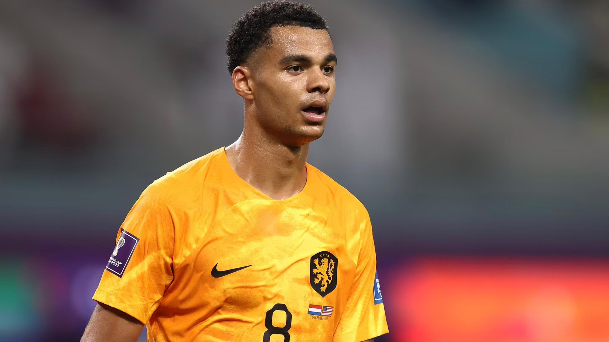 Cody Gakpo (Đội tuyển Hà Lan).