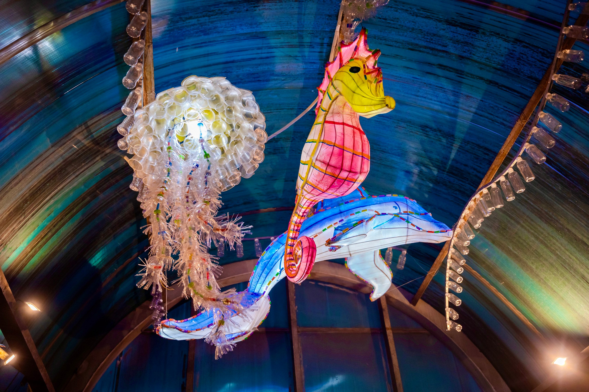 Thế giới sinh vật biển tại cầu đi bộ.