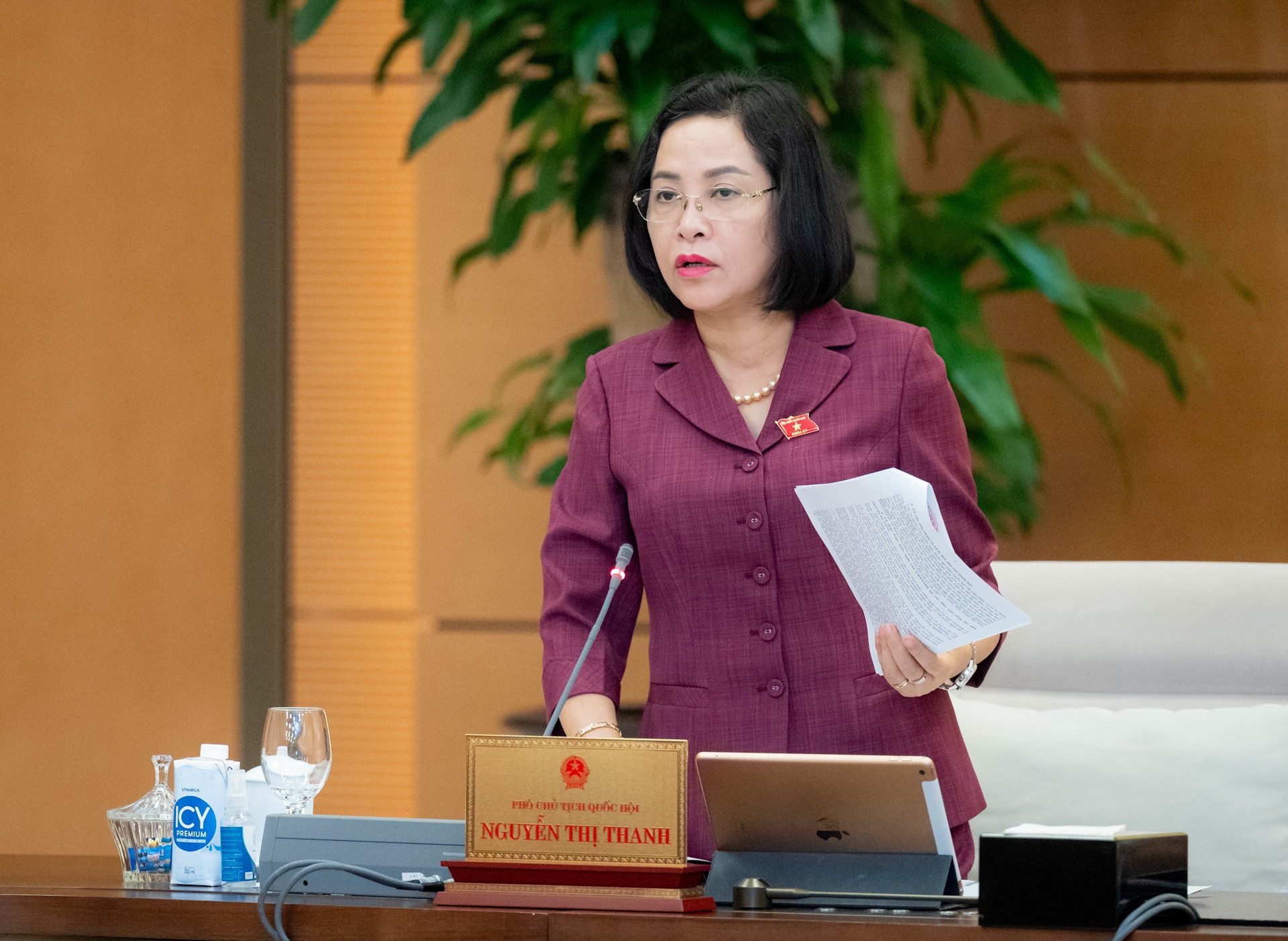 Phó Chủ tịch Quốc hội Nguyễn Thị Thanh phát biểu tại phiên họp.