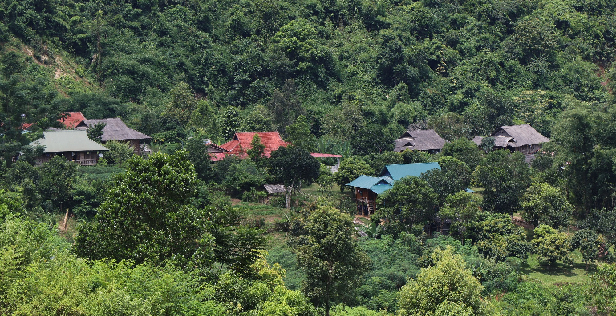 Khắp các bản Mường Pồn 1, Mường Pồn 2 và rất nhiều bản của người Thái, người H'Mông, Khơ Mú trong các xã Mường Pồn, Hua Thanh (huyện Điện Biên) đều in dấu chân Sì sau nhiều tháng ngày đi vận động người dân tham gia trồng, chăm sóc cây Cao-su. Khắp các bản Mường Pồn 1, Mường Pồn 2 và rất nhiều bản của người Thái, người H'Mông, Khơ Mú trong các xã Mường Pồn, Hua Thanh (huyện Điện Biên) đều in dấu chân Sì sau nhiều tháng ngày đi vận động người dân tham gia trồng, chăm sóc cây Cao-su.