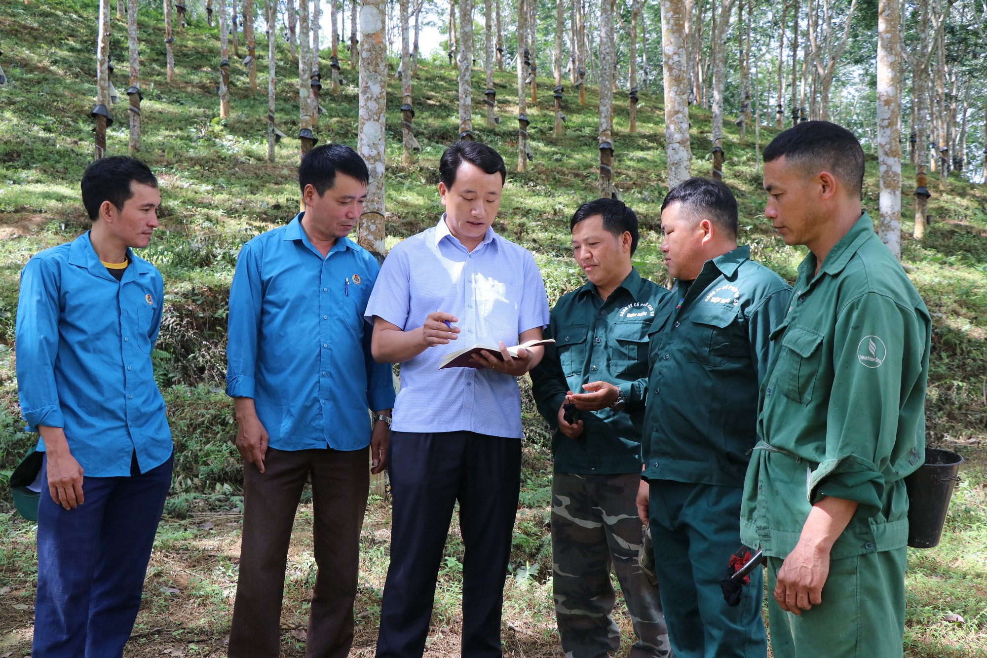 Giữa vườn Cao-su Điện Biên hôm nay, các công nhân như Sì và Cú giờ đã là đảng viên xuất sắc, điển hình cho người dân địa phương học tập noi theo. Giữa vườn Cao-su Điện Biên hôm nay, các công nhân như Sì và Cú giờ đã là đảng viên xuất sắc, điển hình cho người dân địa phương học tập noi theo.