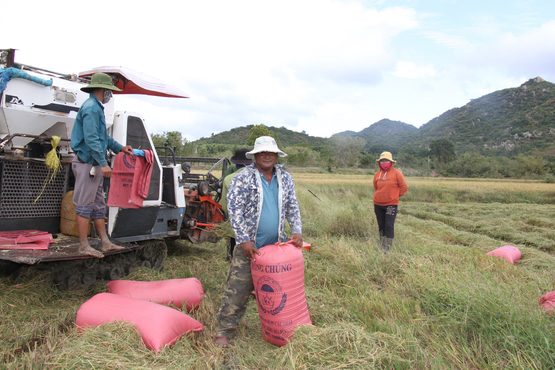 Bà con phấn khởi thu hoạch lúa được trồng từ giống lúa Đài thơm 8 do Hợp tác xã Nông nghiệp dịch vụ tổng hợp Phước Chính, huyện Bác Ái, tỉnh Ninh Thuận triển khai mô hình liên kết sản xuất theo tiêu chuẩn VietGAP, giúp người dân nâng cao năng suất và chất lượng hạt gạo.