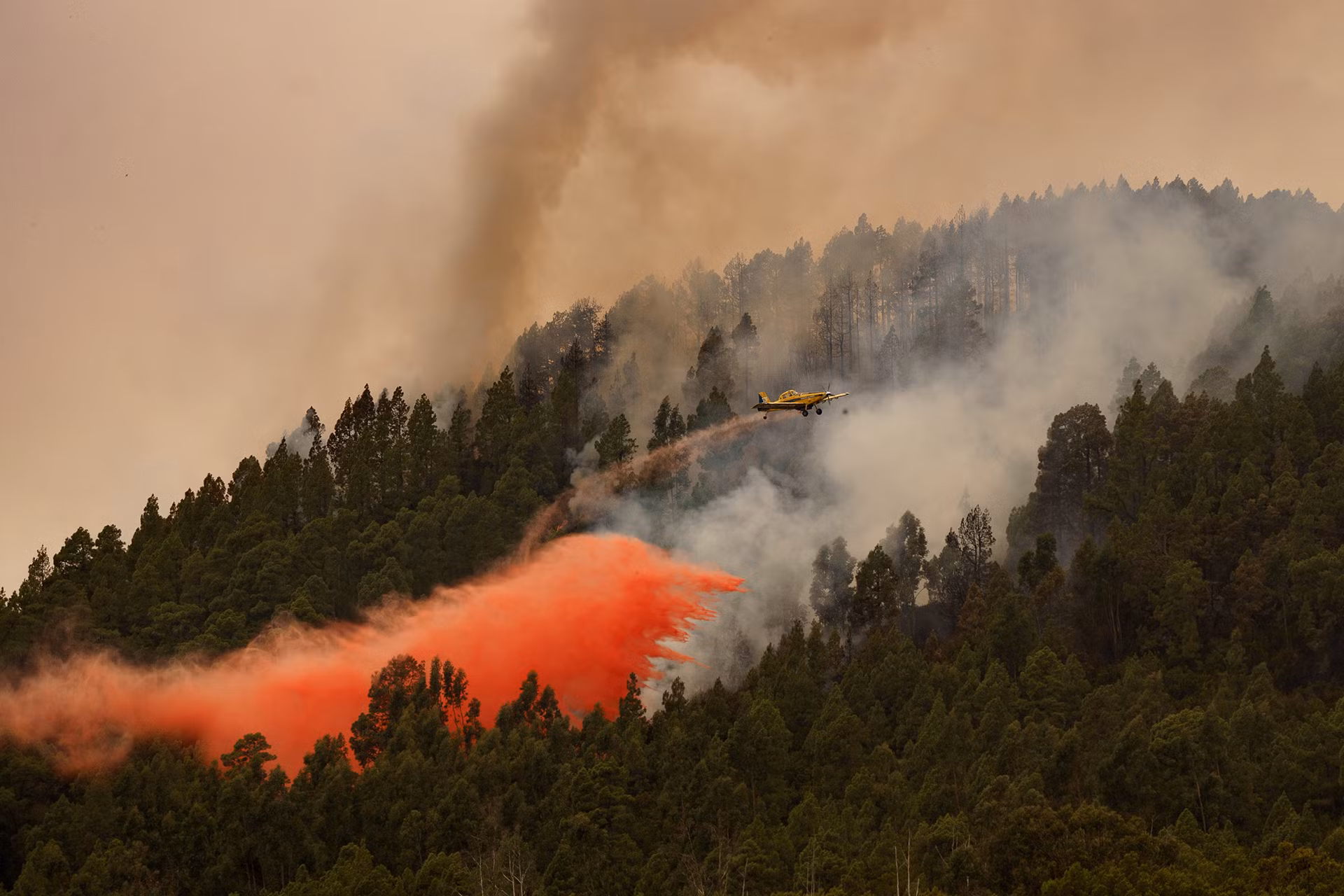 Một máy bay tham gia dập tắt đám cháy ở khu vực Las Rosas, gần núi La Esperanza trên đảo Tenerife, ngày 17/8. (Ảnh: Reuters)