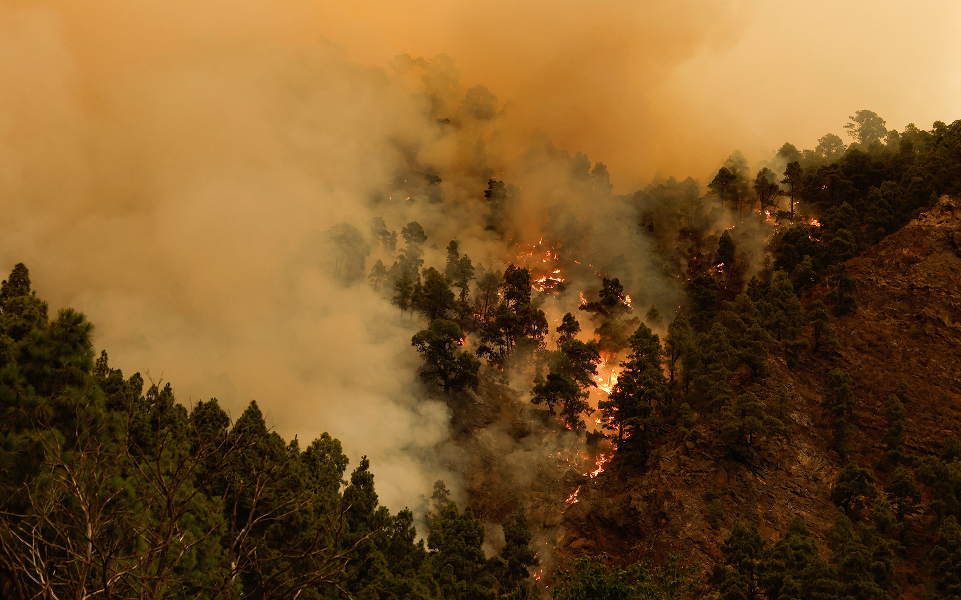 Khói bốc nghi ngút tại khu vực thị trấn Candelary, Tenerife. (Ảnh: Reuters)