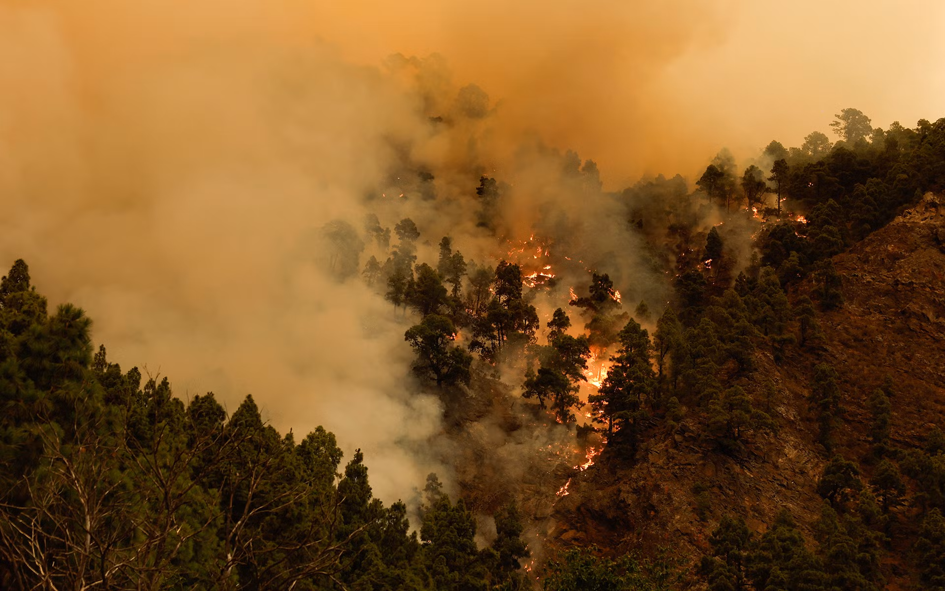 Khói bốc nghi ngút tại khu vực thị trấn Candelary, Tenerife. (Ảnh: Reuters)