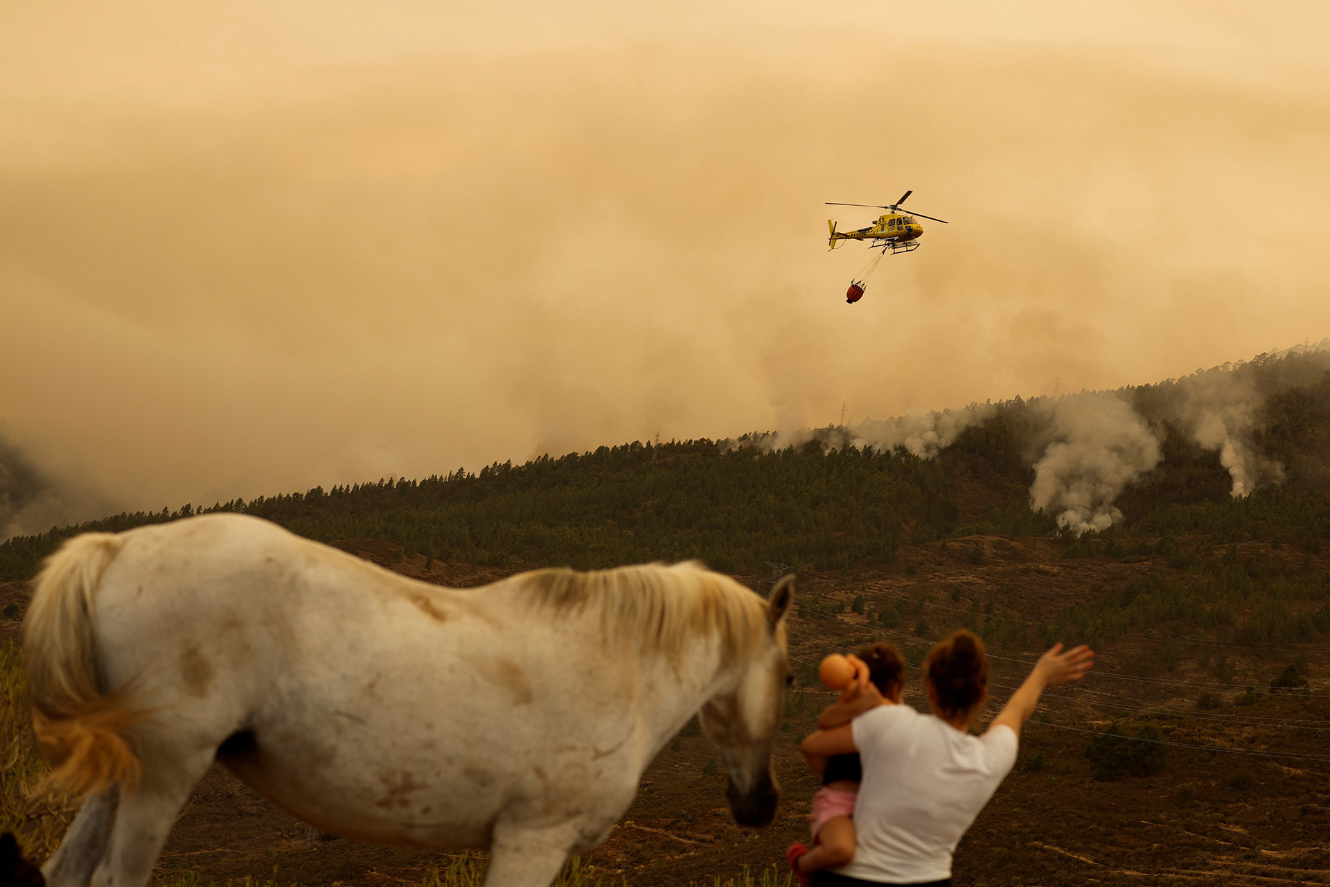 Elianna Diaz cùng con gái và chú ngựa của mình quan sát đám cháy từ thị trấn El Rosario, Tenerife, ngày 17/8. (Ảnh: Reuters)