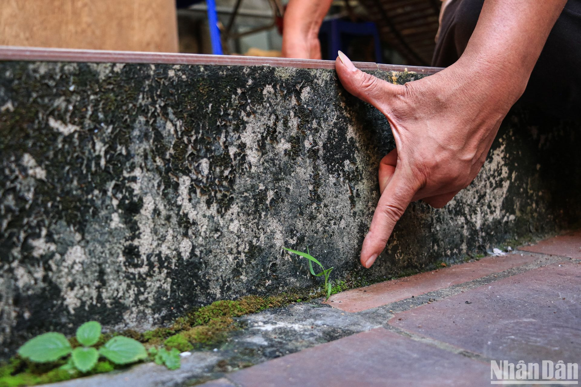 Việc nâng cấp nền nhằm tránh ảnh hưởng của tình trạng sụt lún đất. Đây cũng là lý do mà giếng và bể nước ở dưới gác chính - nơi cất giấu một số dụng cụ in ấn và tài liệu quan trọng cũng bị lấp đi. Việc nâng cấp nền nhằm tránh ảnh hưởng của tình trạng sụt lún đất. Đây cũng là lý do mà giếng và bể nước ở dưới gác chính - nơi cất giấu một số dụng cụ in ấn và tài liệu quan trọng cũng bị lấp đi.