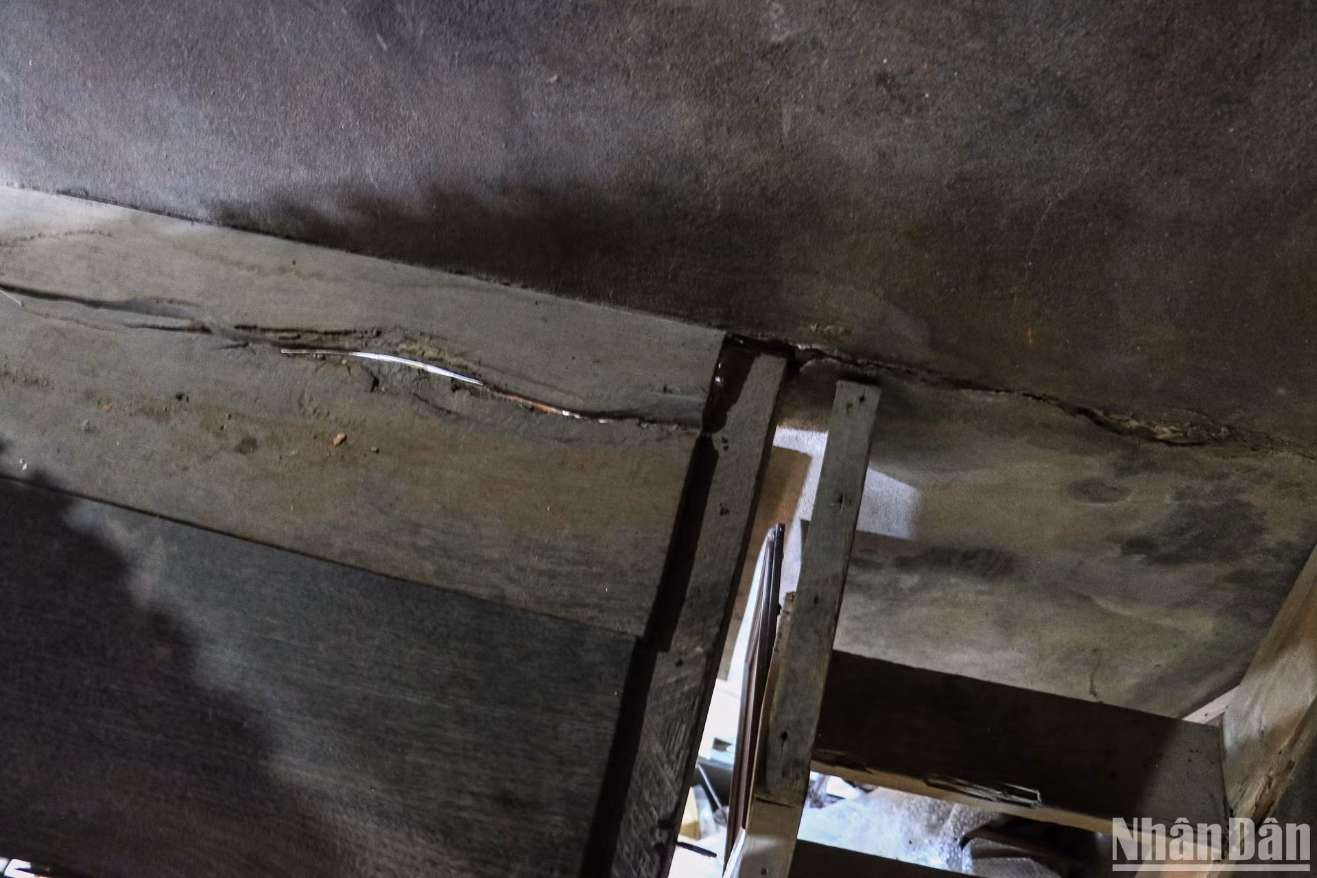 Một vài tấm ván trên sàn gỗ bị mục dần theo thời gian.