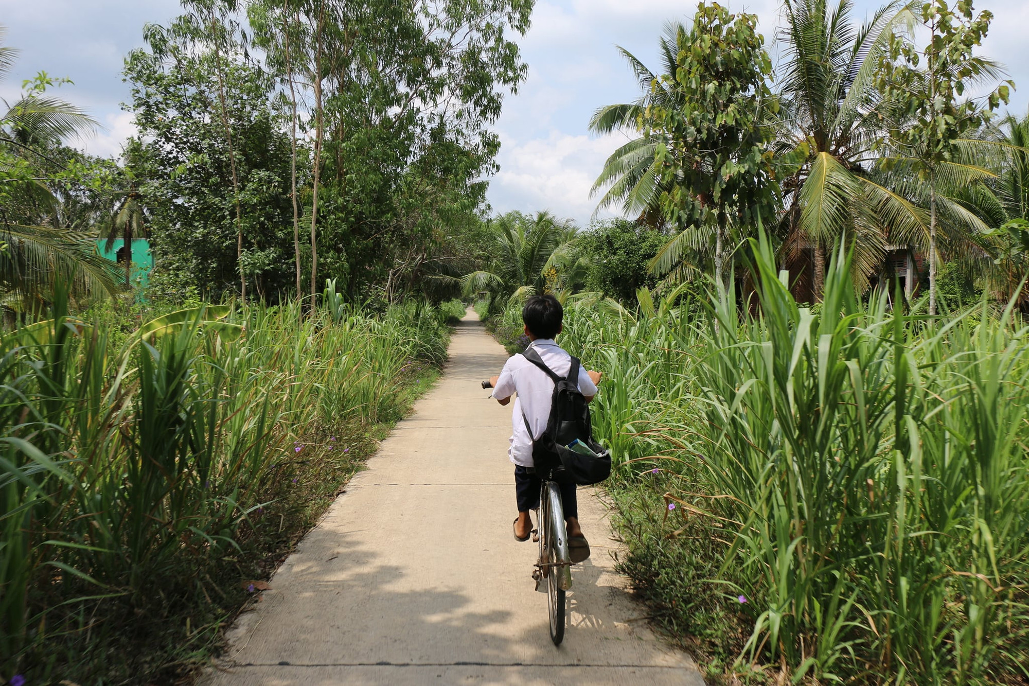 Nhiều học sinh quyết định nghỉ học từ lớp 9 để đỡ đần kinh tế gia đình. Nhiều học sinh quyết định nghỉ học từ lớp 9 để đỡ đần kinh tế gia đình.