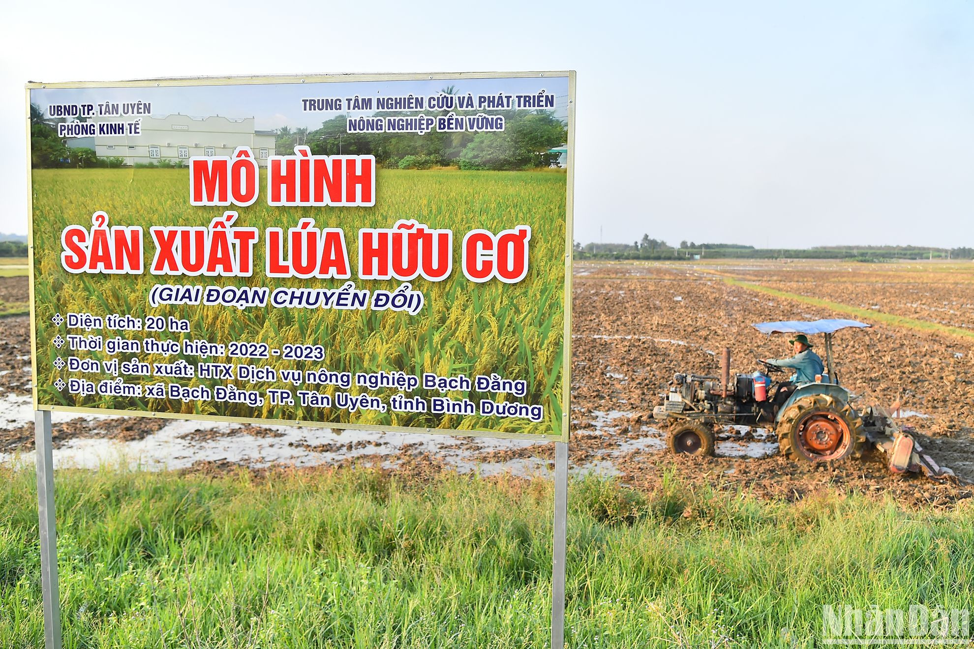 Hợp tác xã Dịch vụ nông nghiệp Bạch Đằng là hợp tác xã nông nghiệp tiên phong tại Bạch Đằng muốn ứng dụng công nghệ để tạo chuỗi sản xuất - tiêu thụ sản phẩm nông nghiệp sạch bền vững tại địa phương. Hợp tác xã do nông dân Hồ Tấn Lợi (ấp Tân Trạch) làm giám đốc, hiện có 21 hộ dân tham gia với tổng 20ha diện tích đất sản xuất nông nghiệp trồng lúa ST25, cho thu nhập gấp nhiều lần so với trước đây.