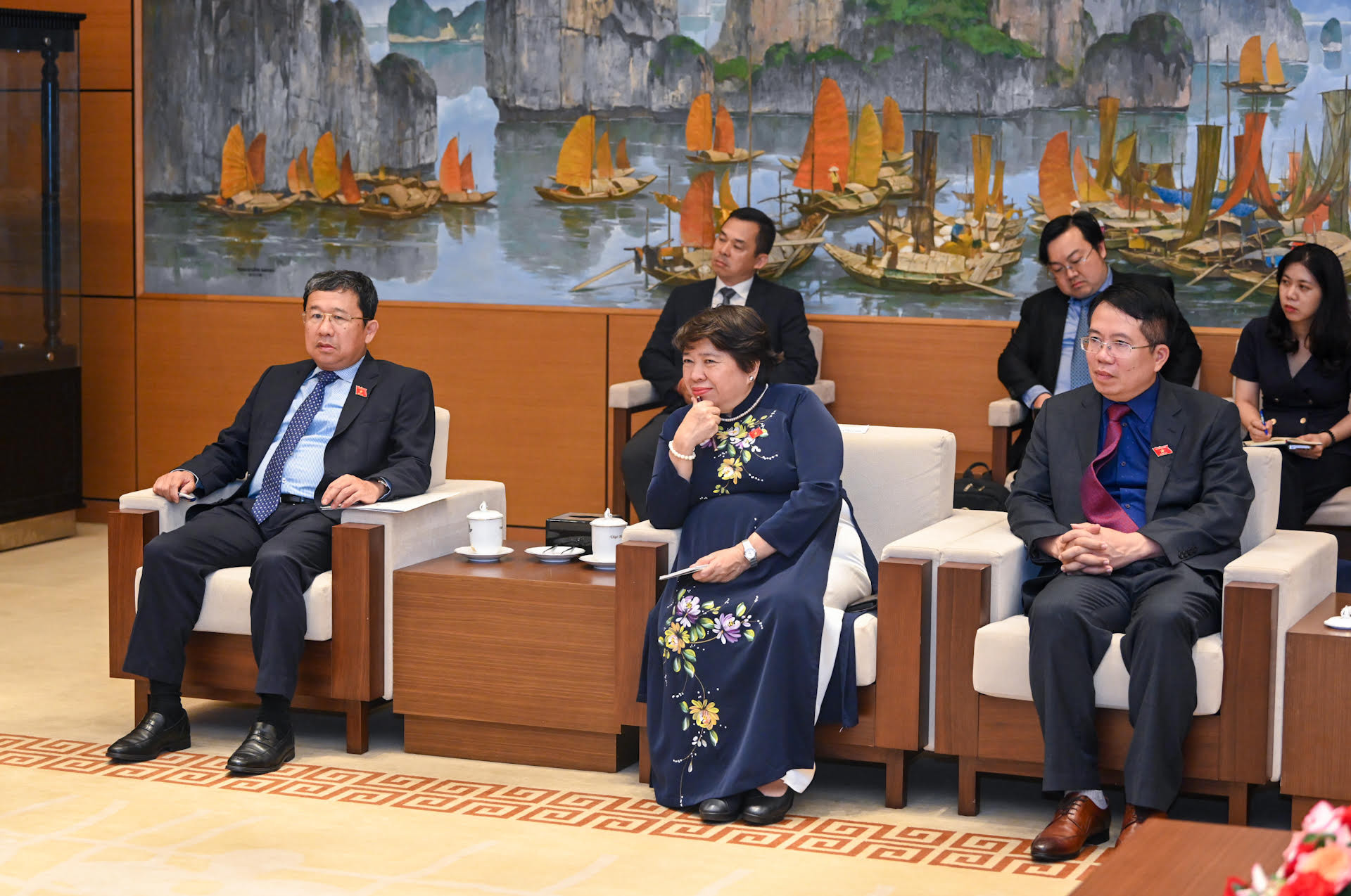 Chủ nhiệm Ủy ban Đối ngoại Vũ Hải Hà, Chủ nhiệm Ủy ban Xã hội Nguyễn Thuý Anh và các đại biểu Quốc hội Việt Nam dự buổi tiếp.